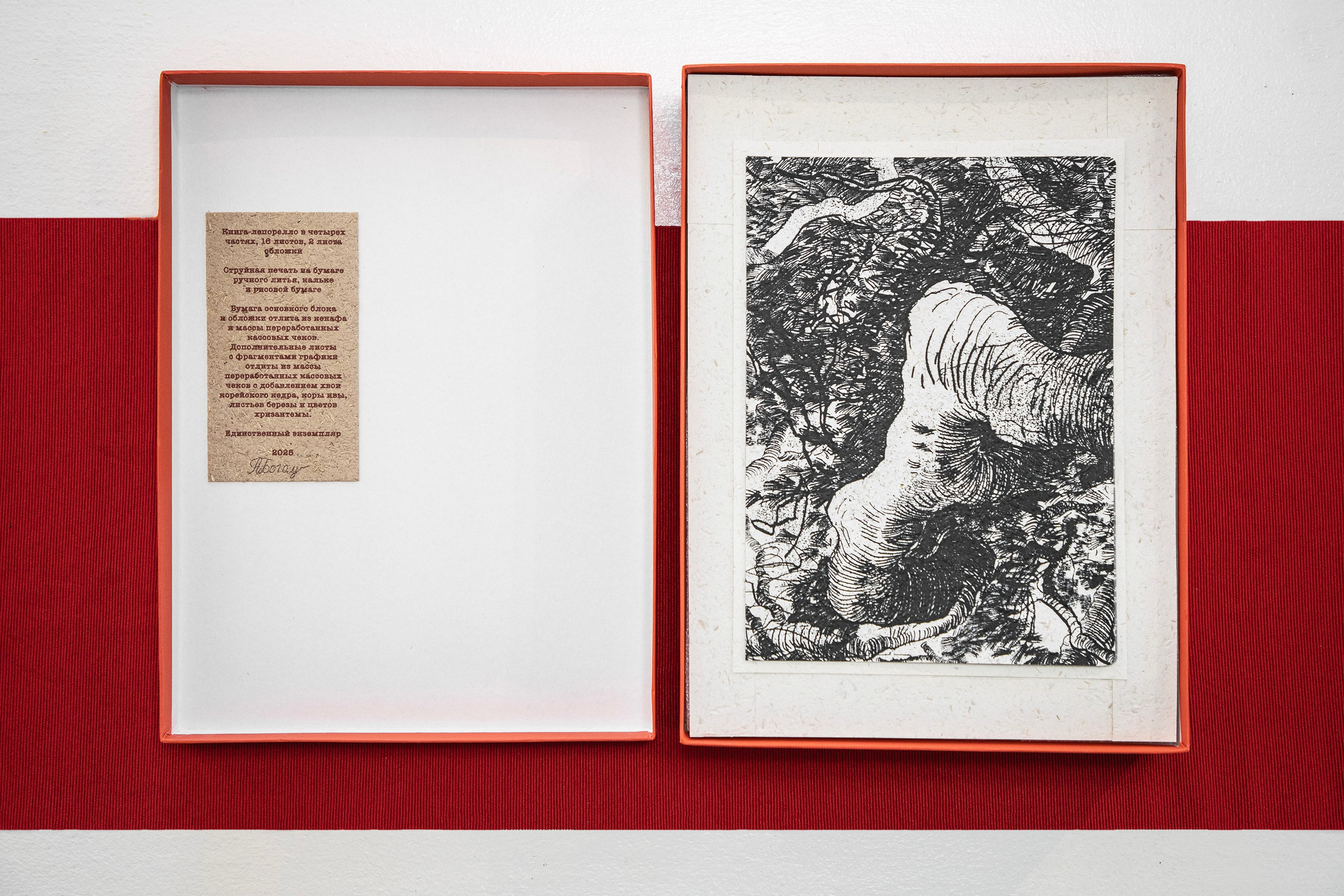 A Collection of Exercises (2023)