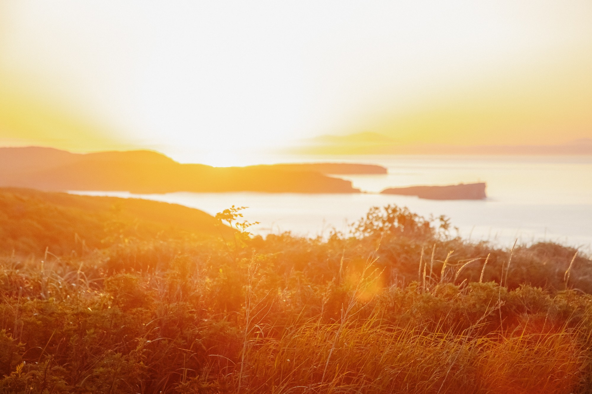 Пока не застроили. Evgeniya Kokurina