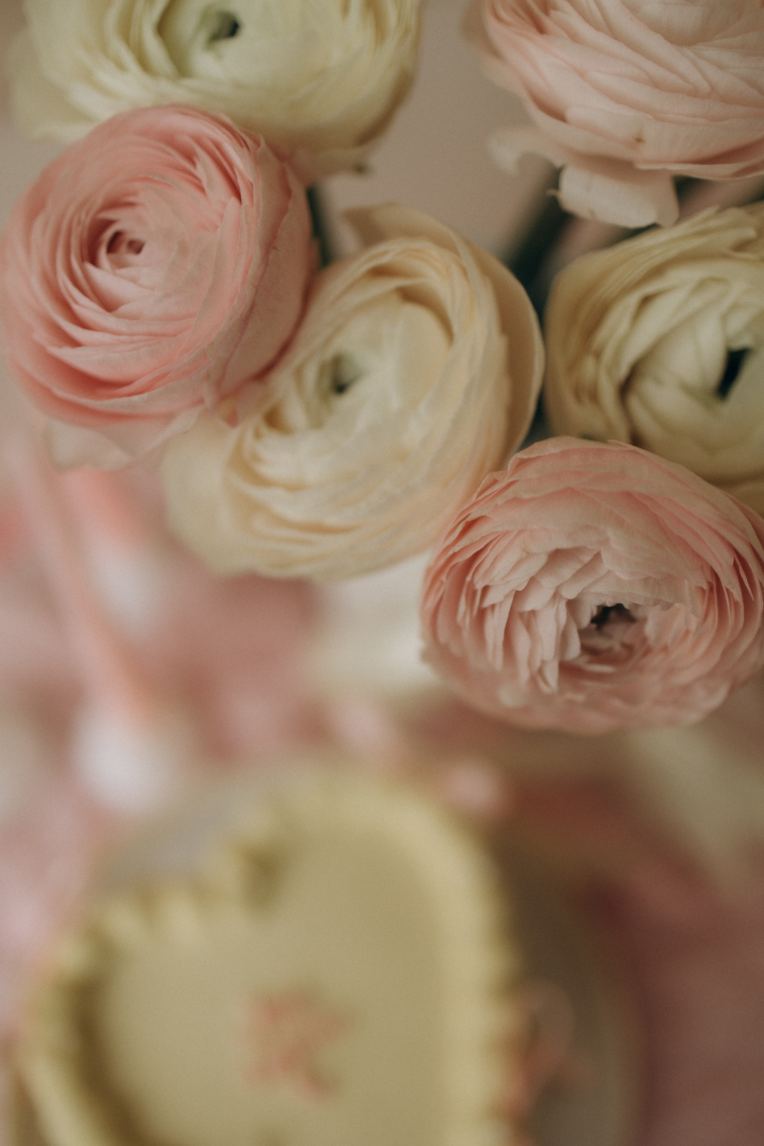 Первый день рождения!. Семейный фотограф Москва Юлиана Фетисова