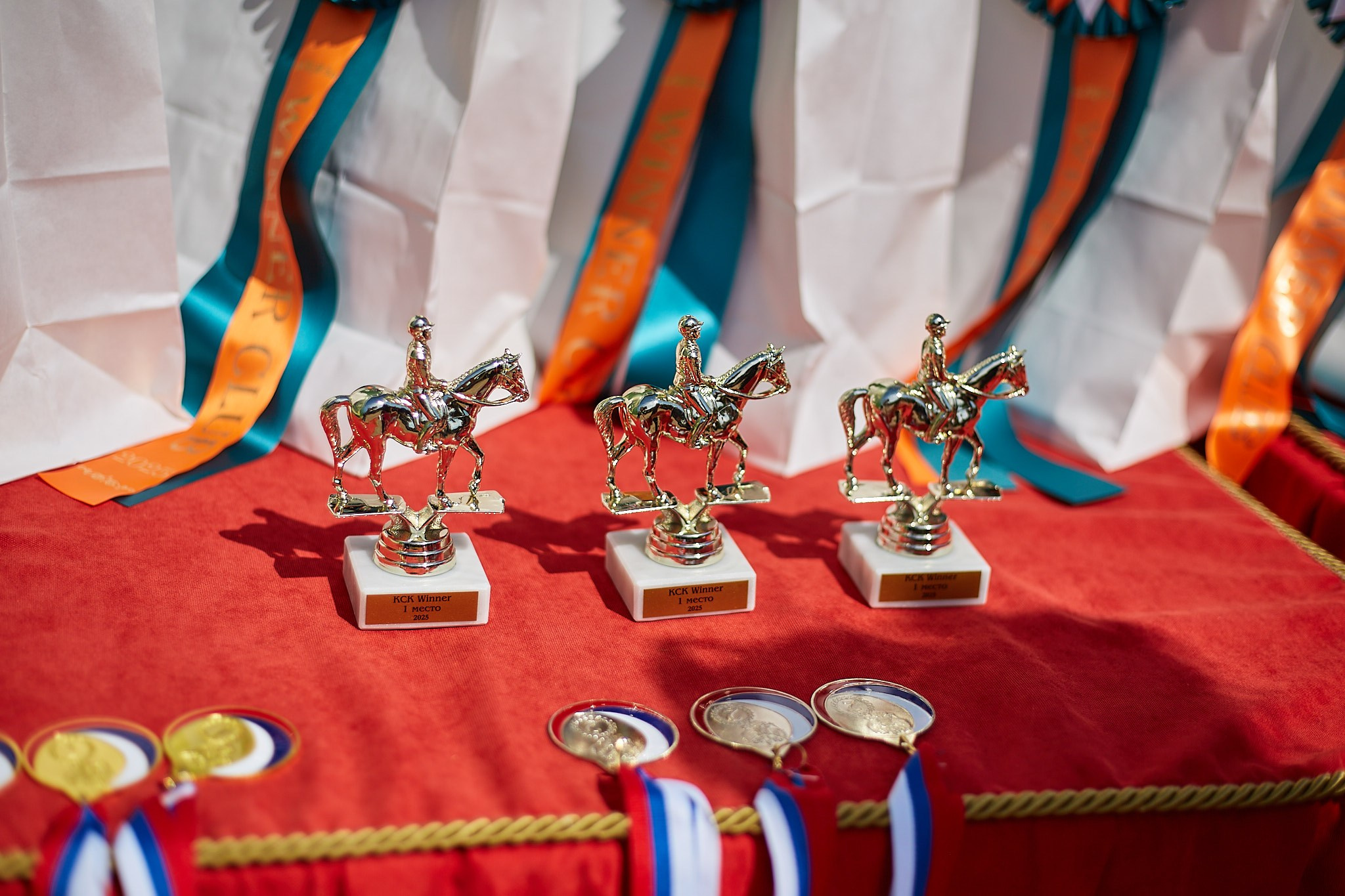 Выездка в WINNER