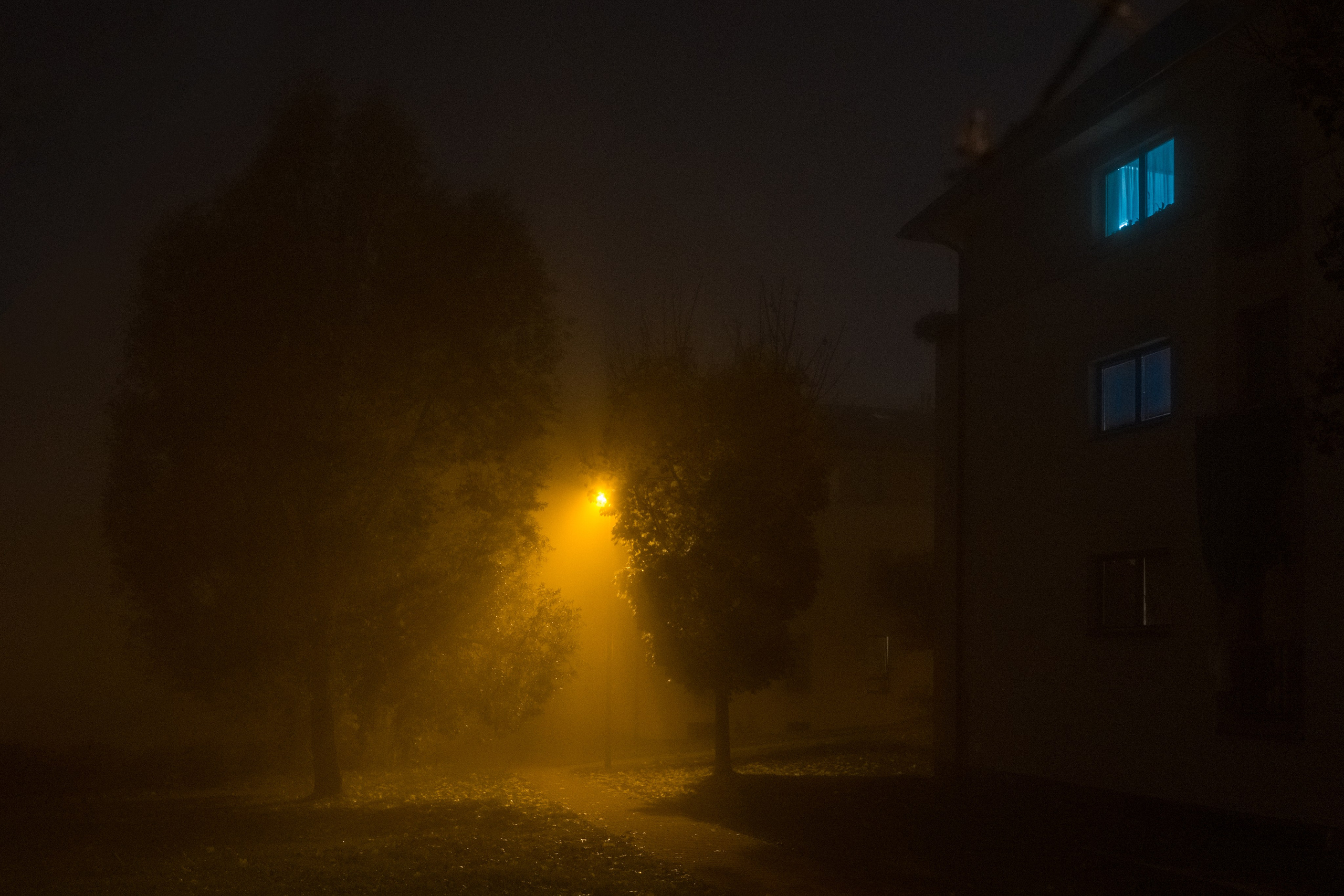 Курс «Стрит фотография»