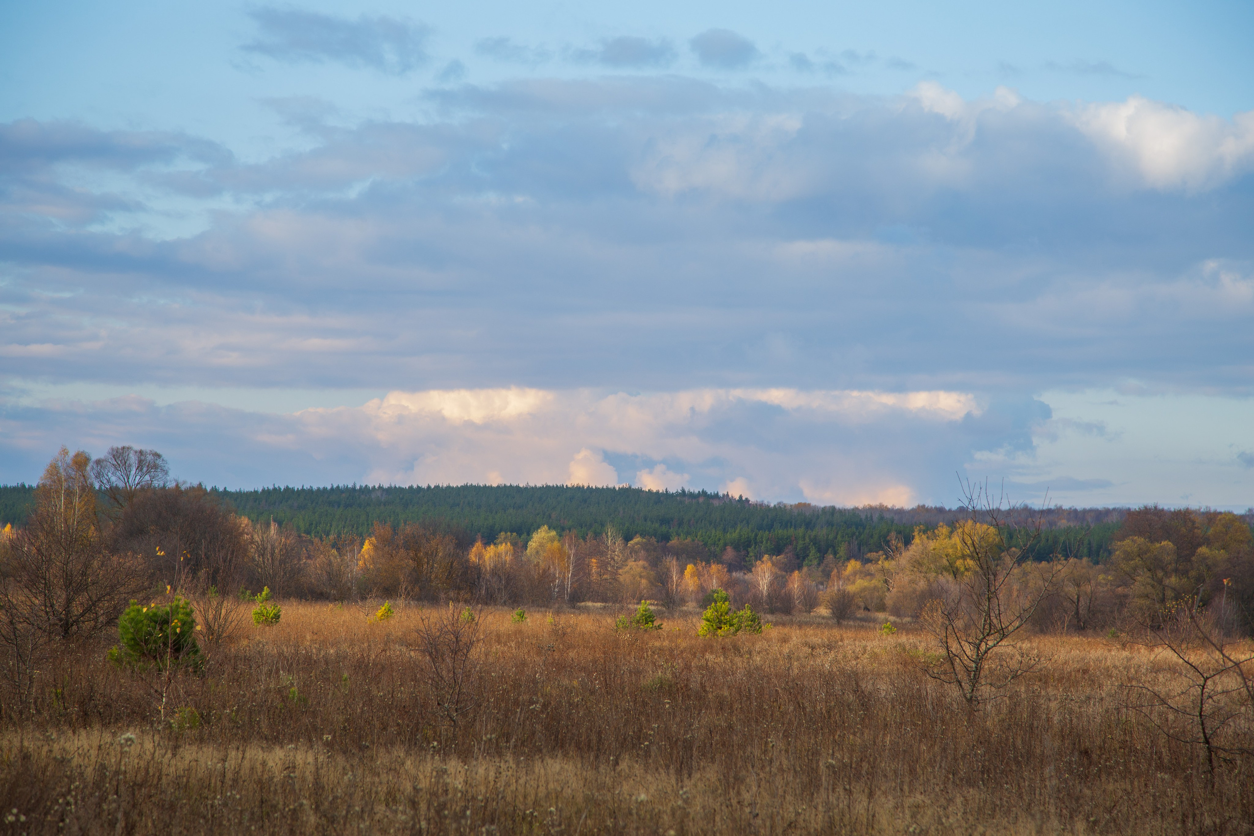 ТВОРЧЕСТВО. Творческая студия АЛНИфото