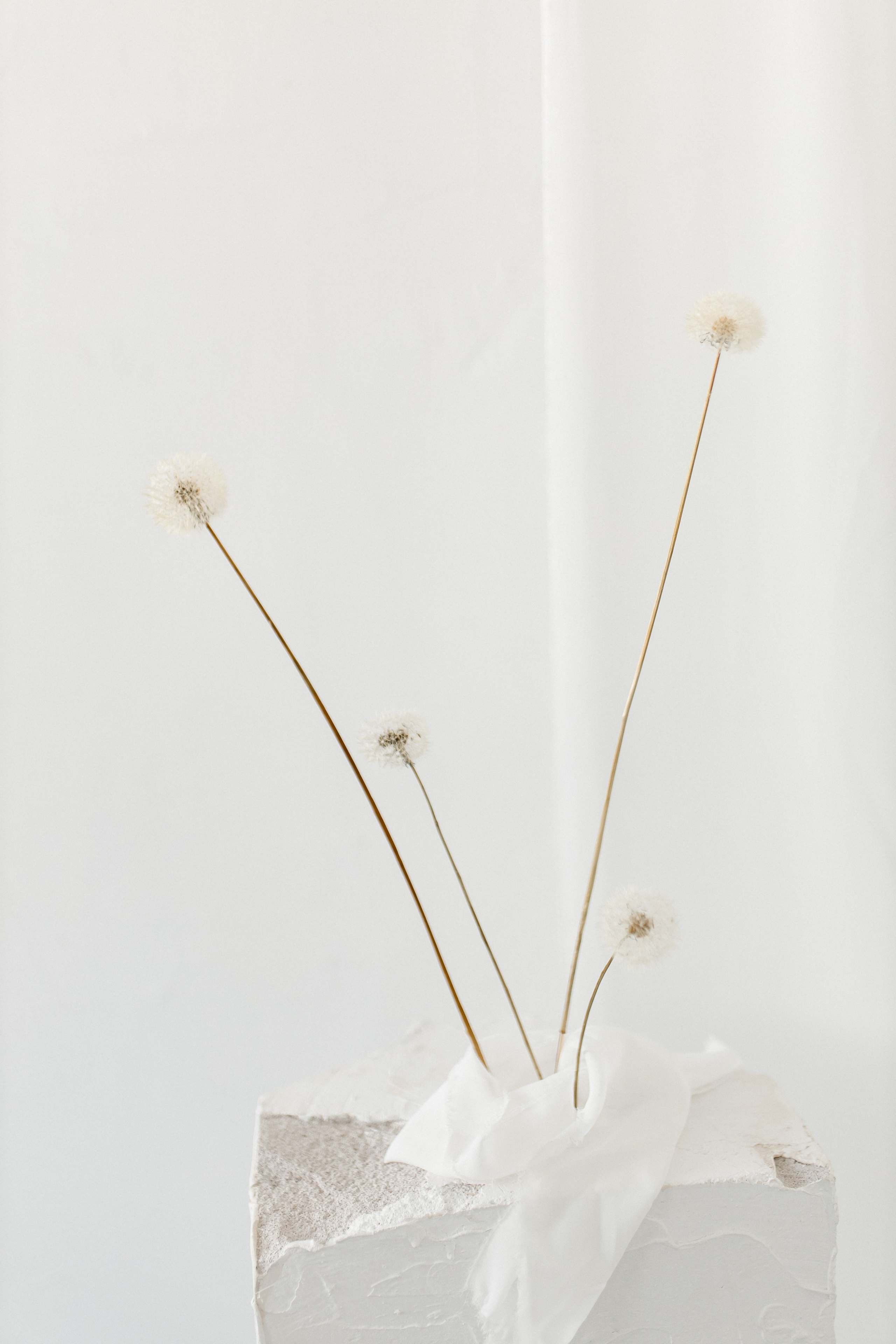 Семейная фотосессия в Крыму и Севастополе: портфолио | Tanya Sher. Свадебный фотограф в Севастополе и Крыму| Tanya Sher