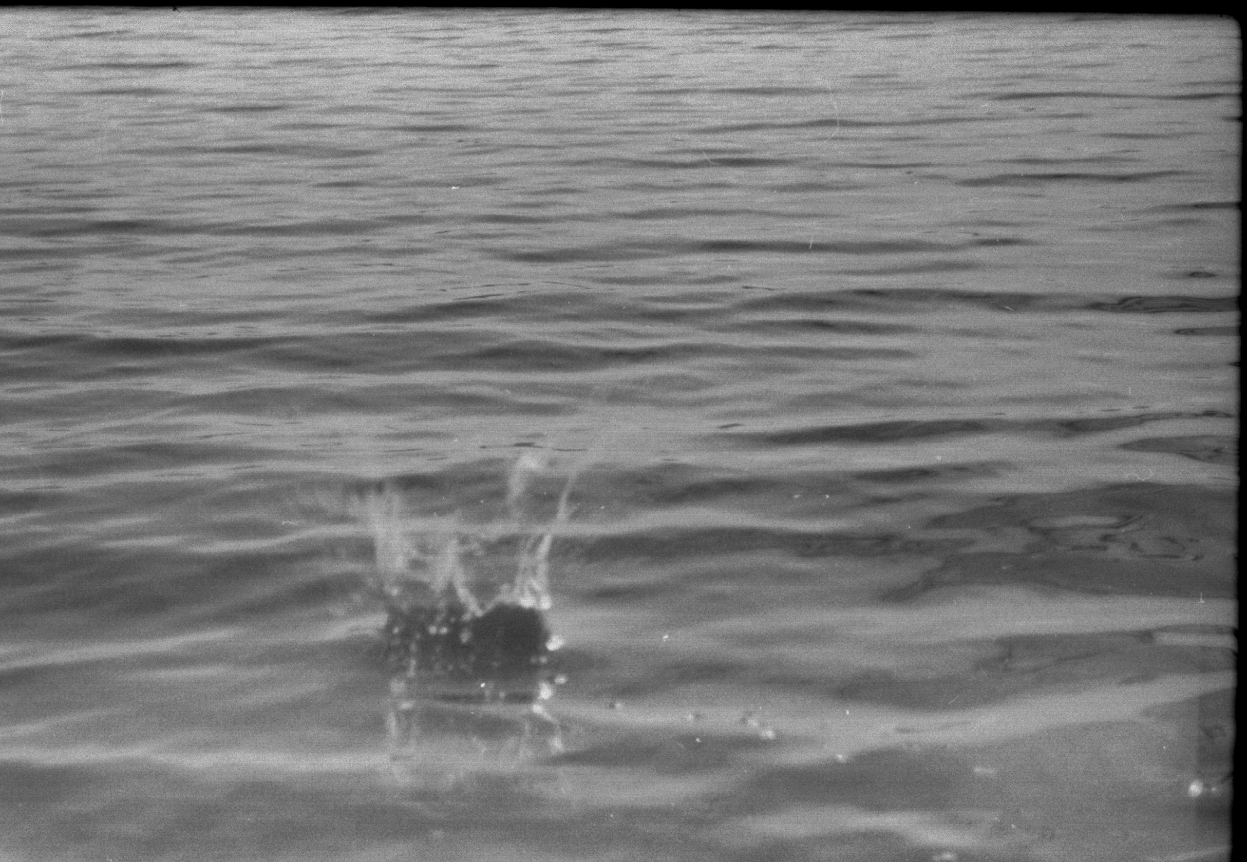 De chocolat villa. Фотограф Любовь Волкова