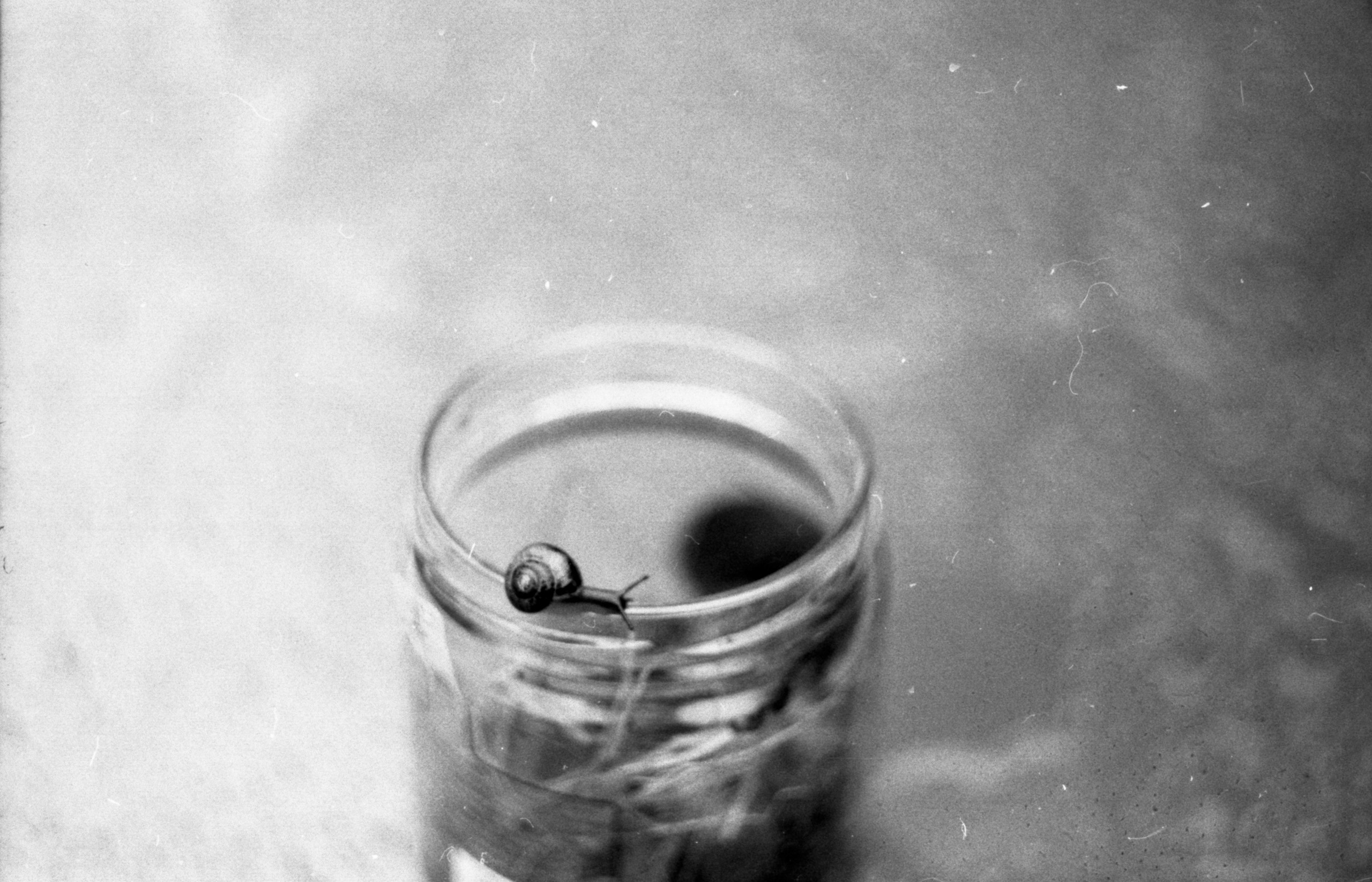 De chocolat villa. Фотограф Любовь Волкова