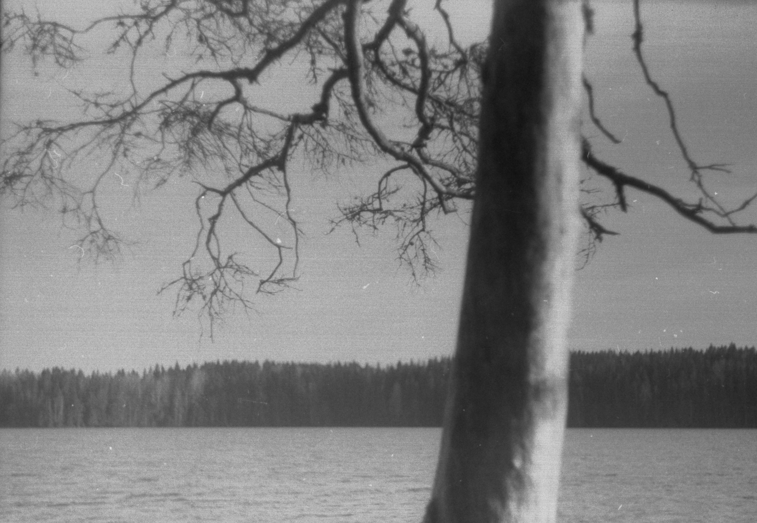 De chocolat villa. Фотограф Любовь Волкова