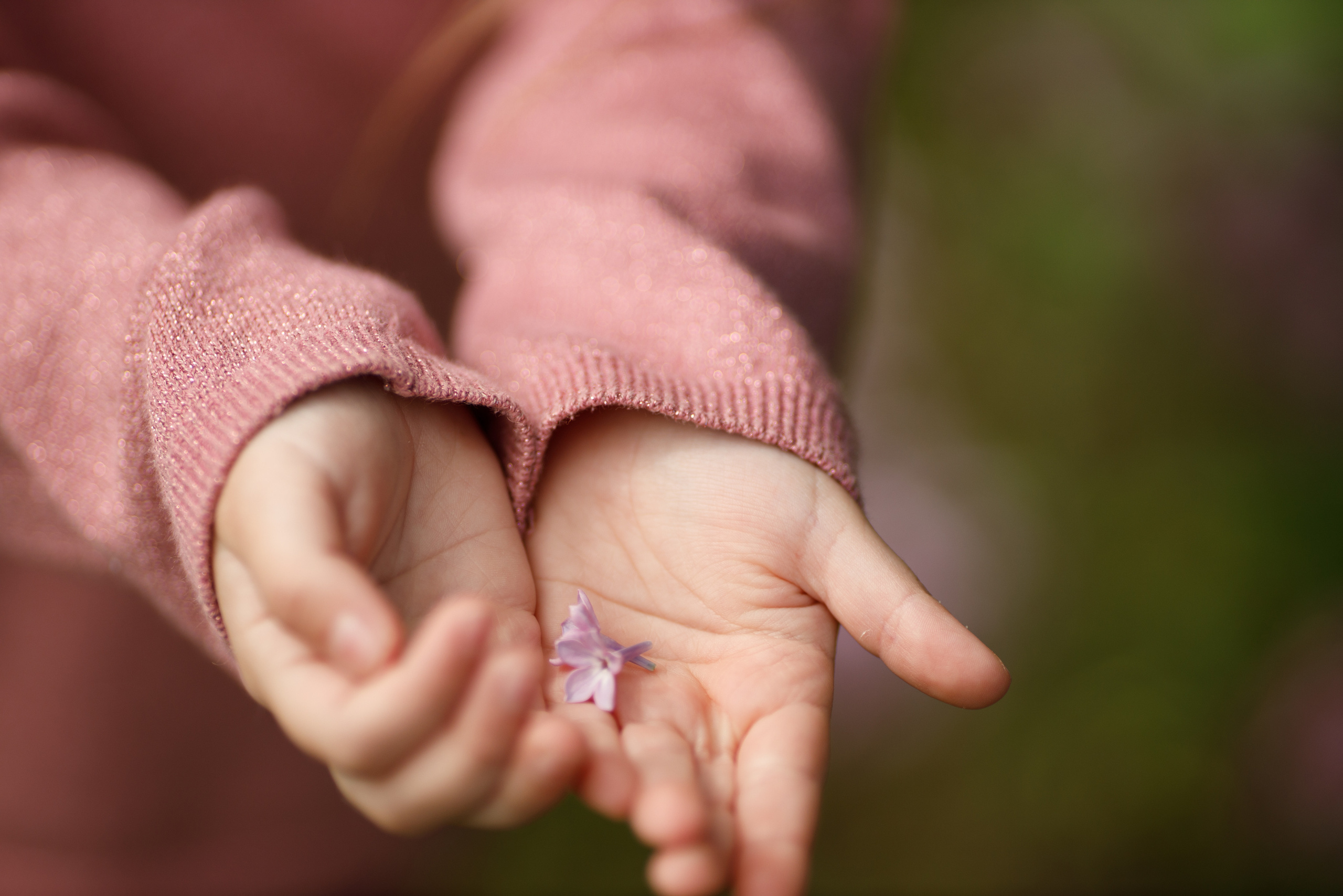 Аглая весенняя съемка в сирени. Свадебный и семейный фотограф в Ставрополе Попова Дарья