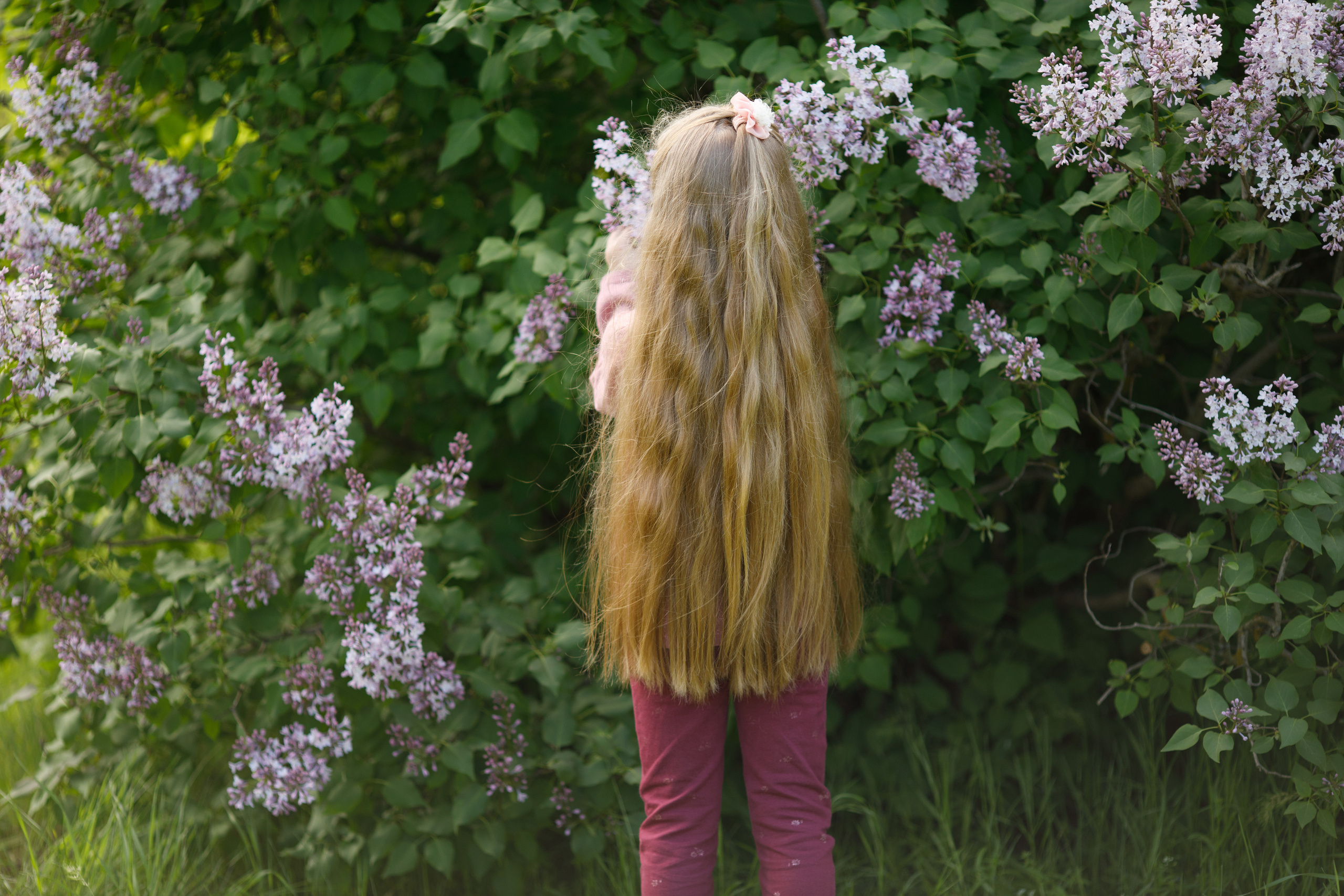 Аглая весенняя съемка в сирени. Свадебный и семейный фотограф в Ставрополе Попова Дарья