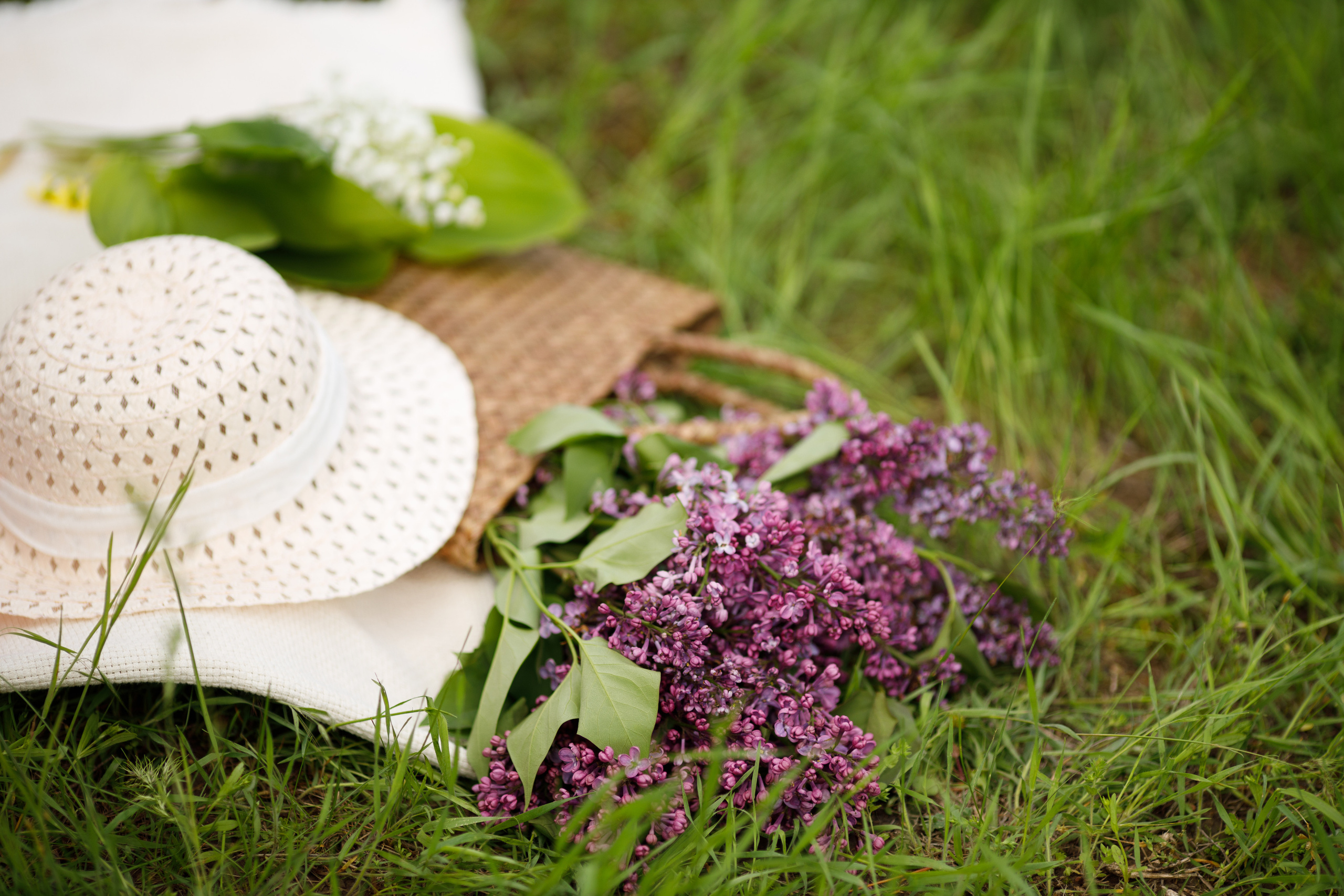 Аглая весенняя съемка в сирени. Свадебный и семейный фотограф в Ставрополе Попова Дарья