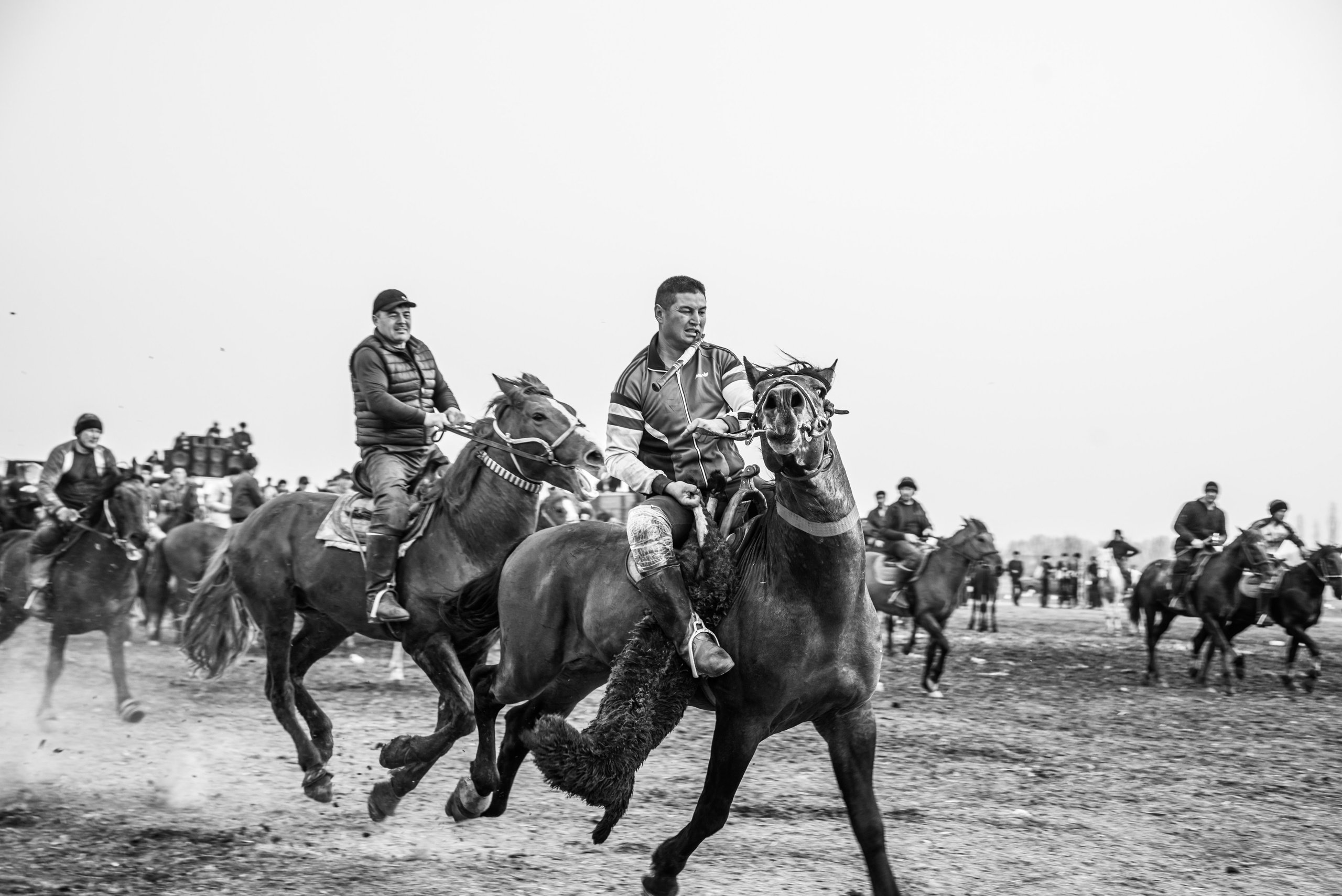 лошадки и люди