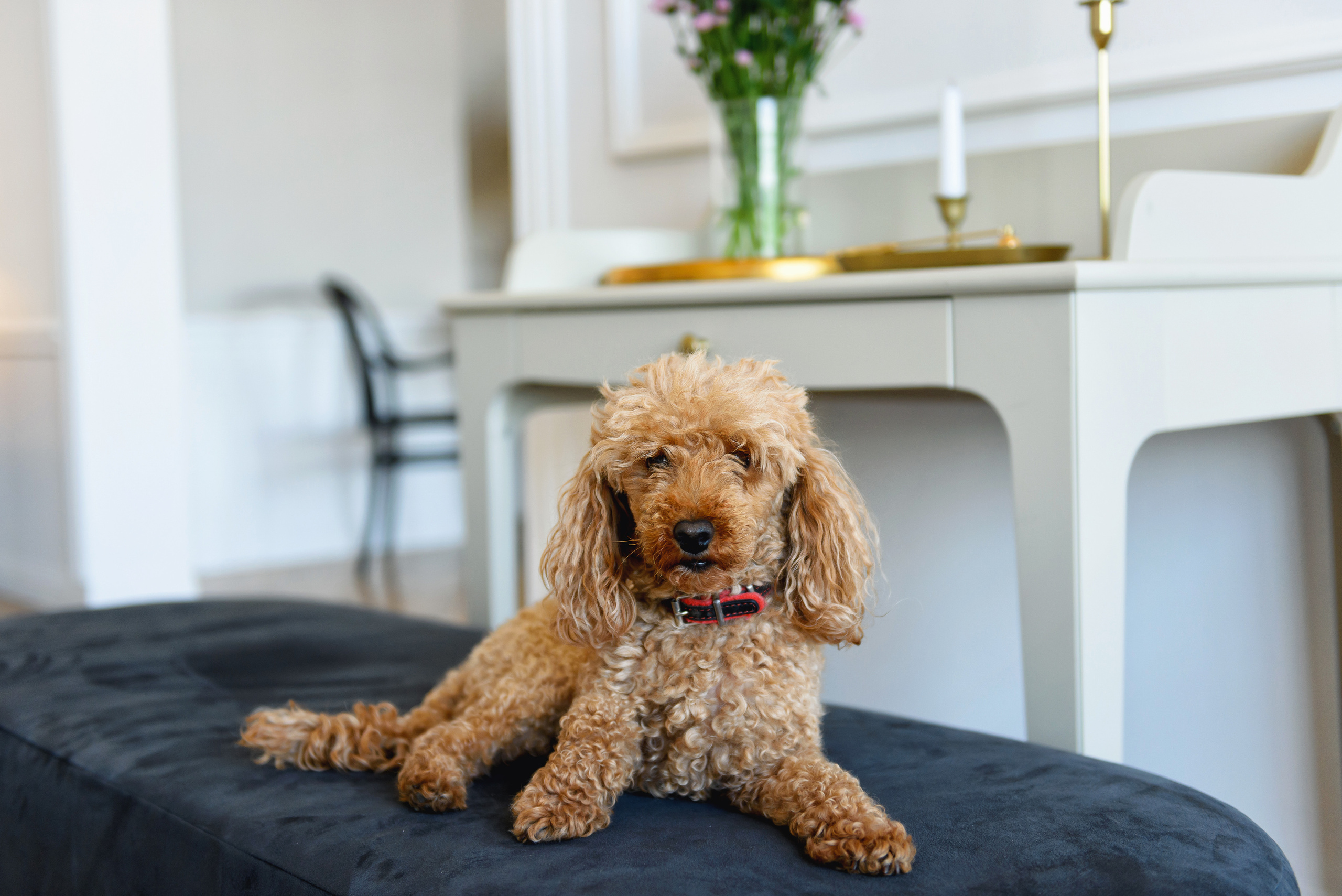 Стильные фотосессии «под ключ». Мария Прищеп. Профессиональный фотограф в Краснодаре