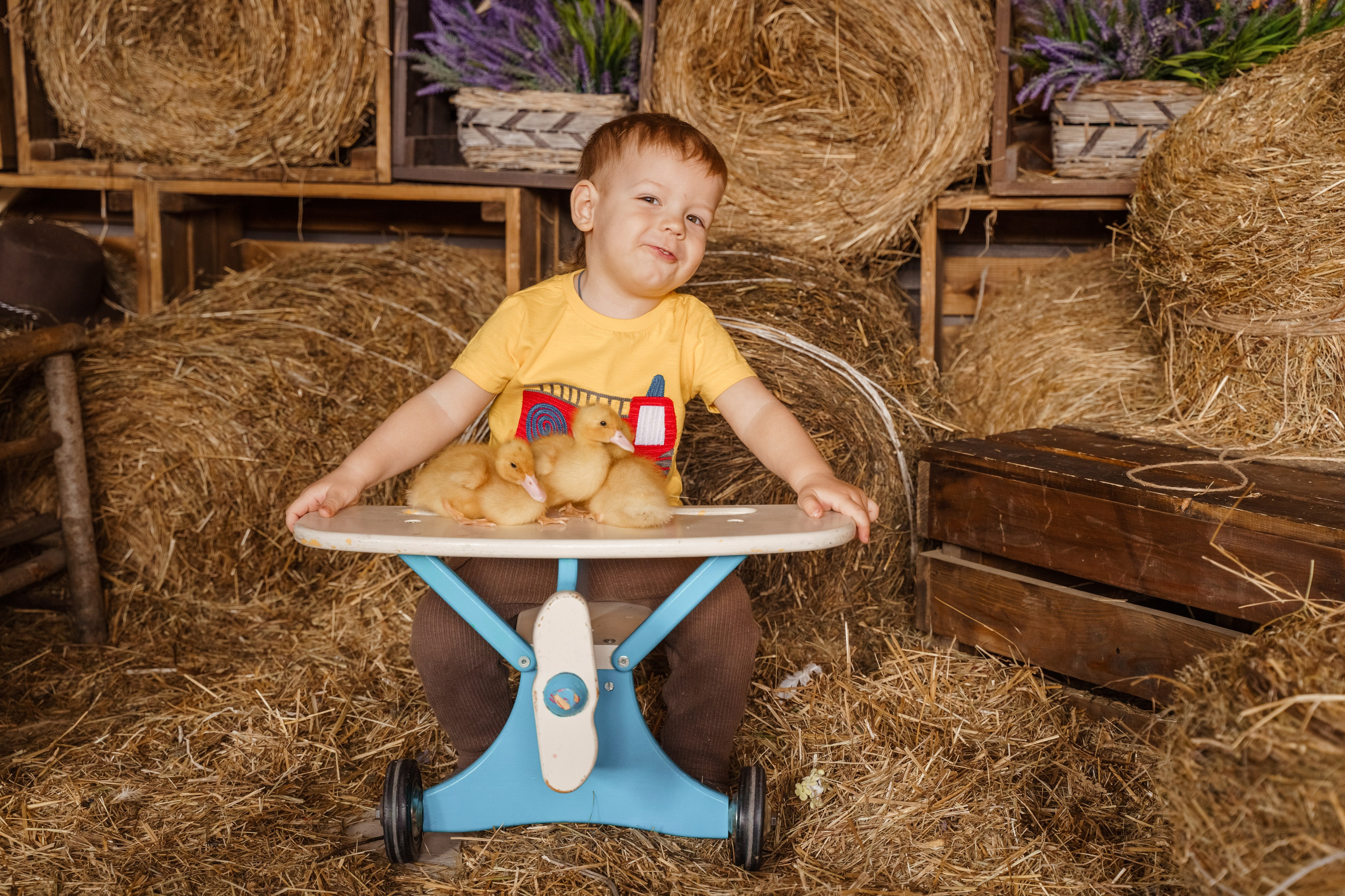 Фотосессия с утятами в студии