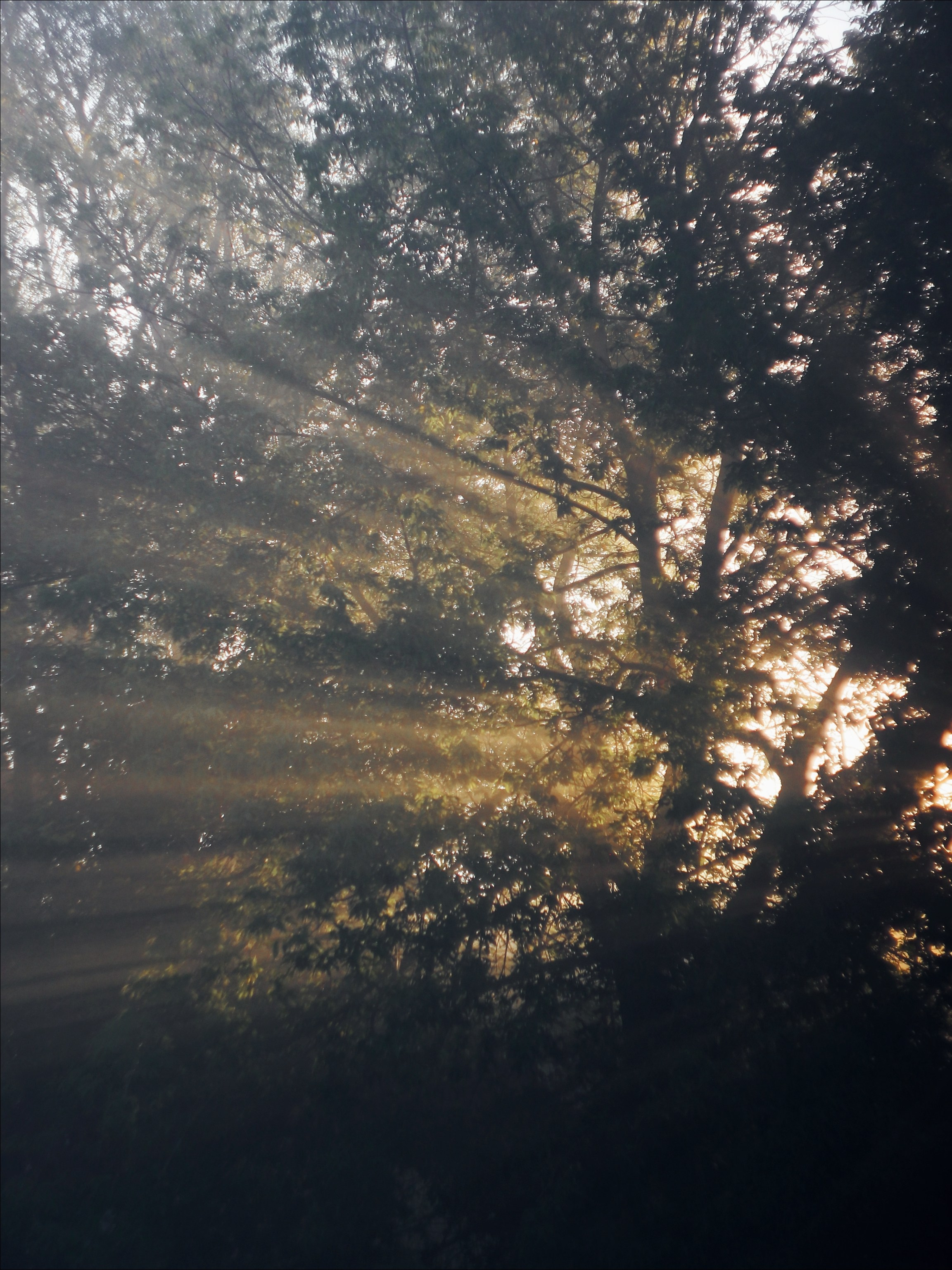 Опустошенность. С любовью, фотохудожник