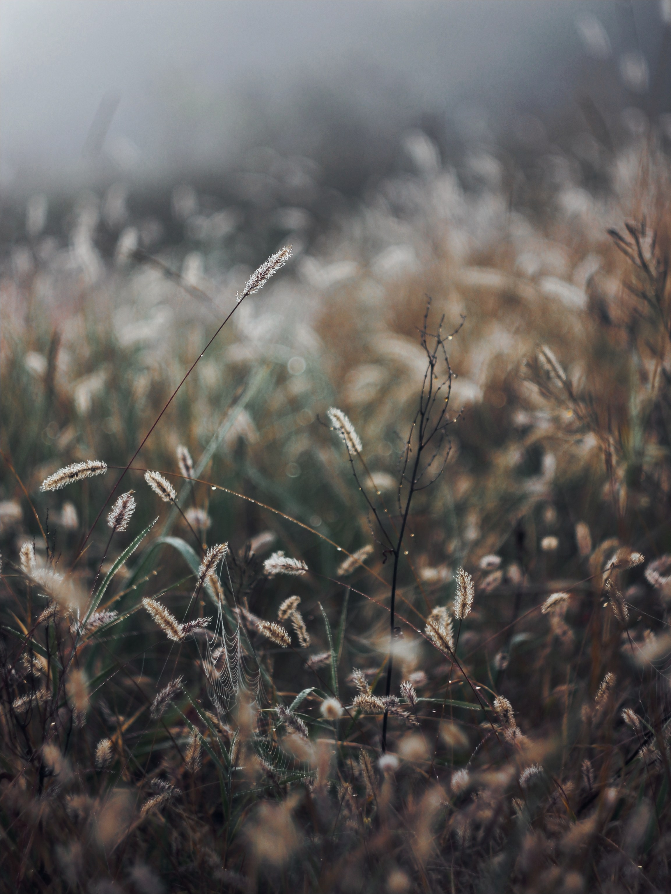 Опустошенность. С любовью, фотохудожник