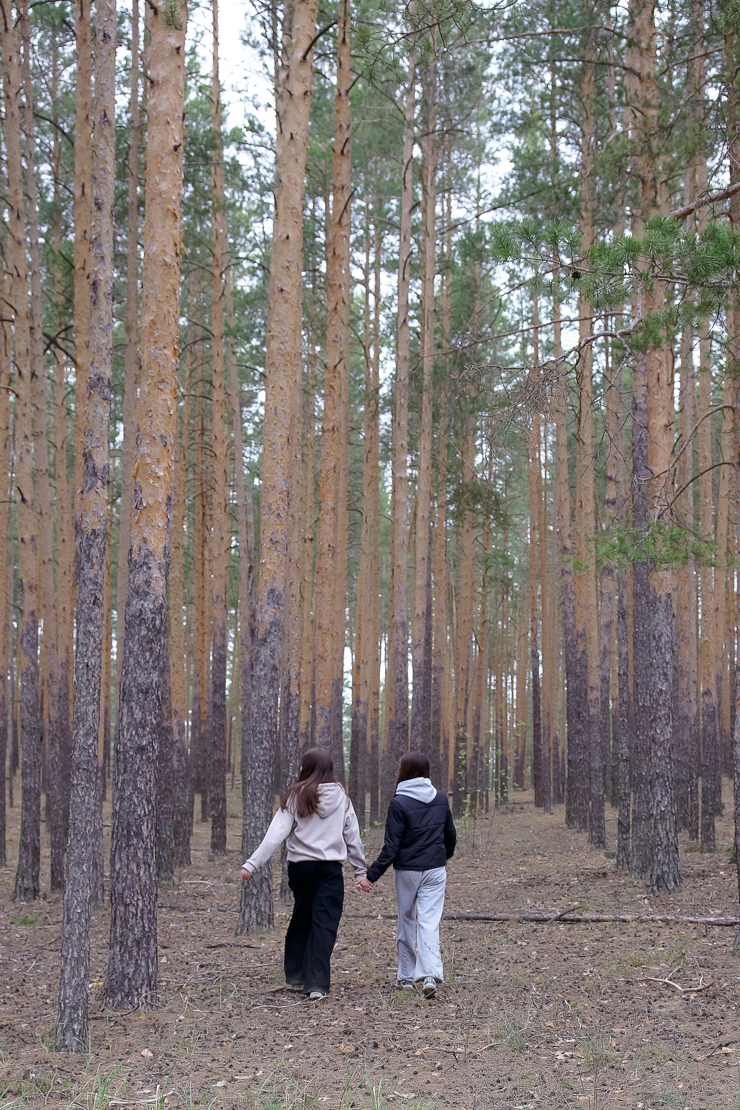 Услуги. Фотограф Чебоксары, Казань, Москва