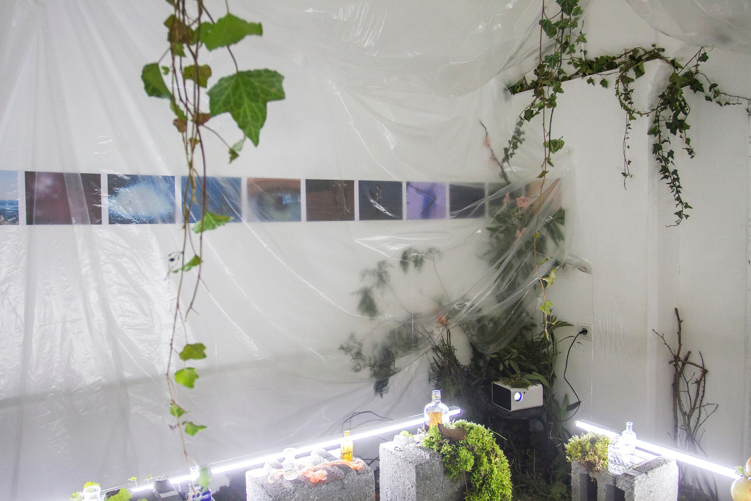 2024, The exhibition «How Do You Smell?». KST