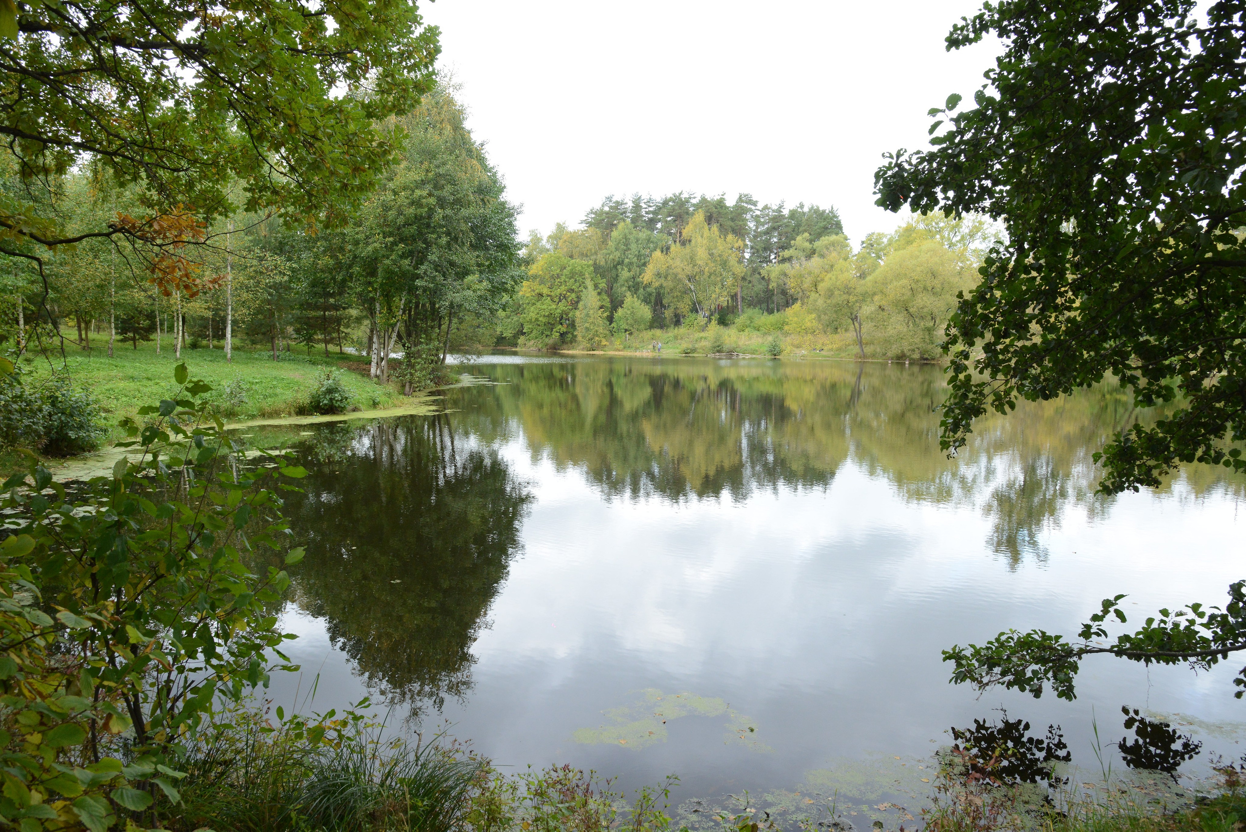 Фотосъёмка недвижимость, дома, участки, коттеджи, студии, интерьерная съёмка. «Студия DRONAVT`s» — видеосъёмка и фотография г. Москва