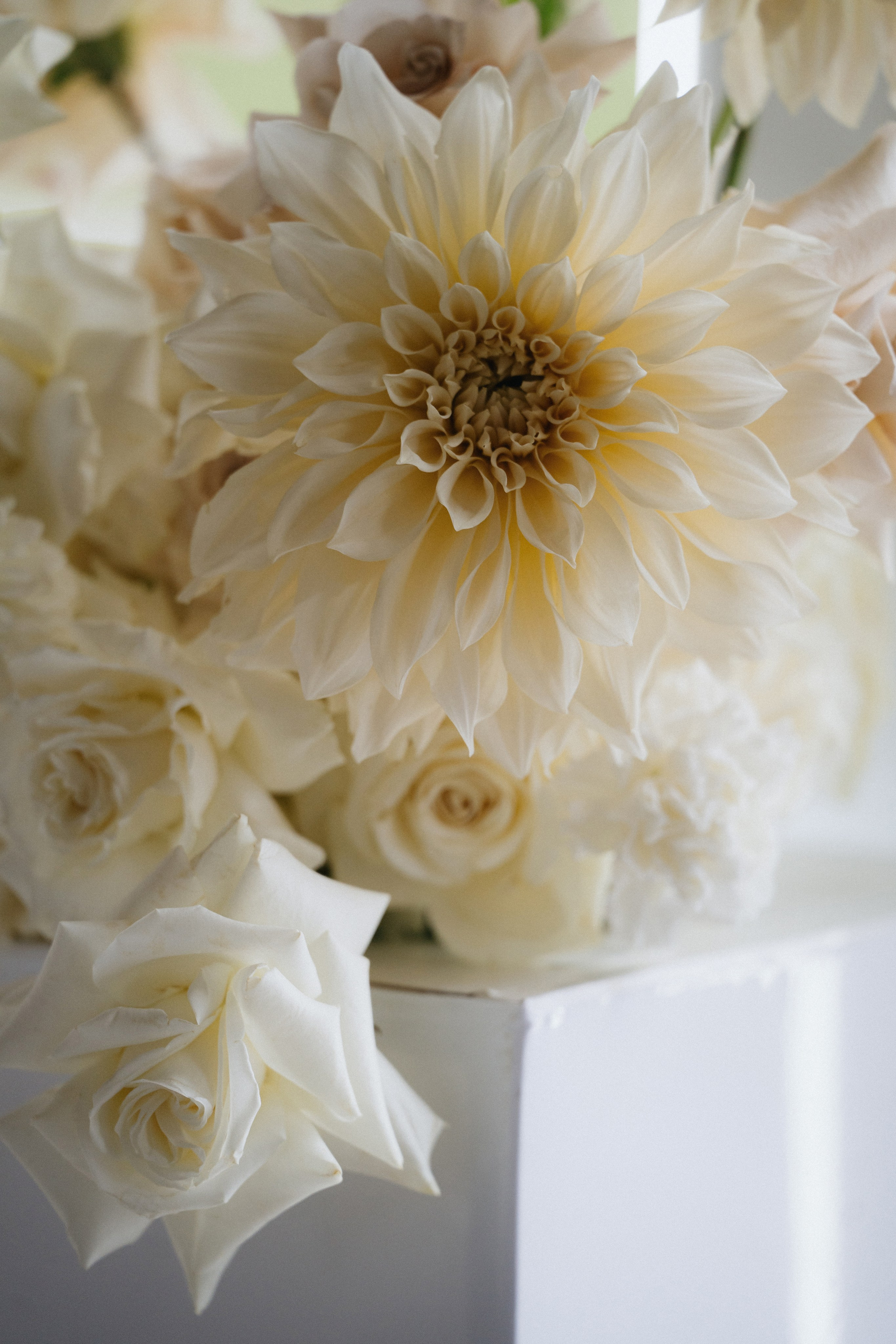 14 сентября 2024. Фотограф Томск, Новосибирск Влад Свириденко