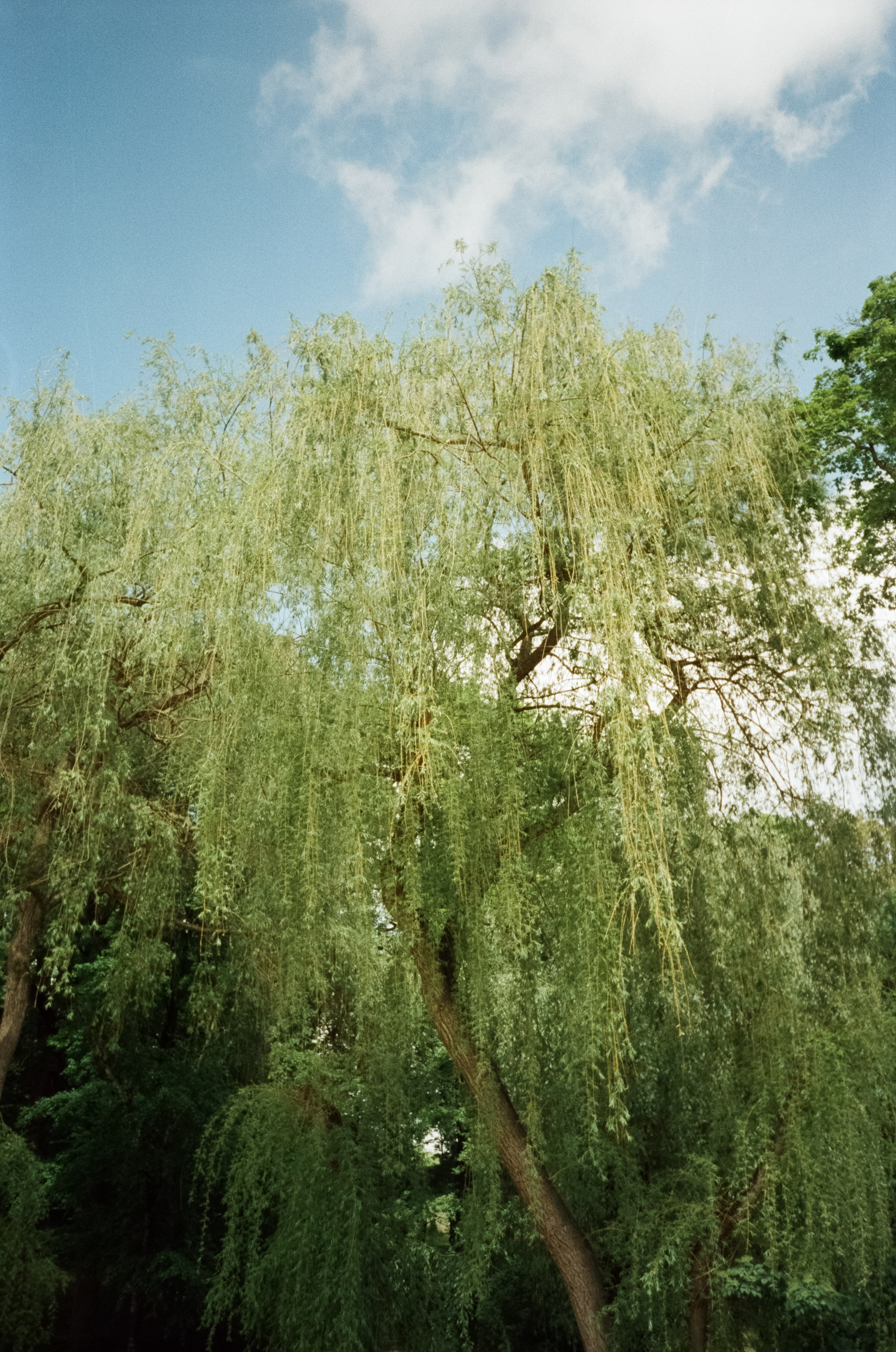 Солнечные Ессентуки. Прогулка в Курортном парке. Фотограф-документалист Мария Осокина