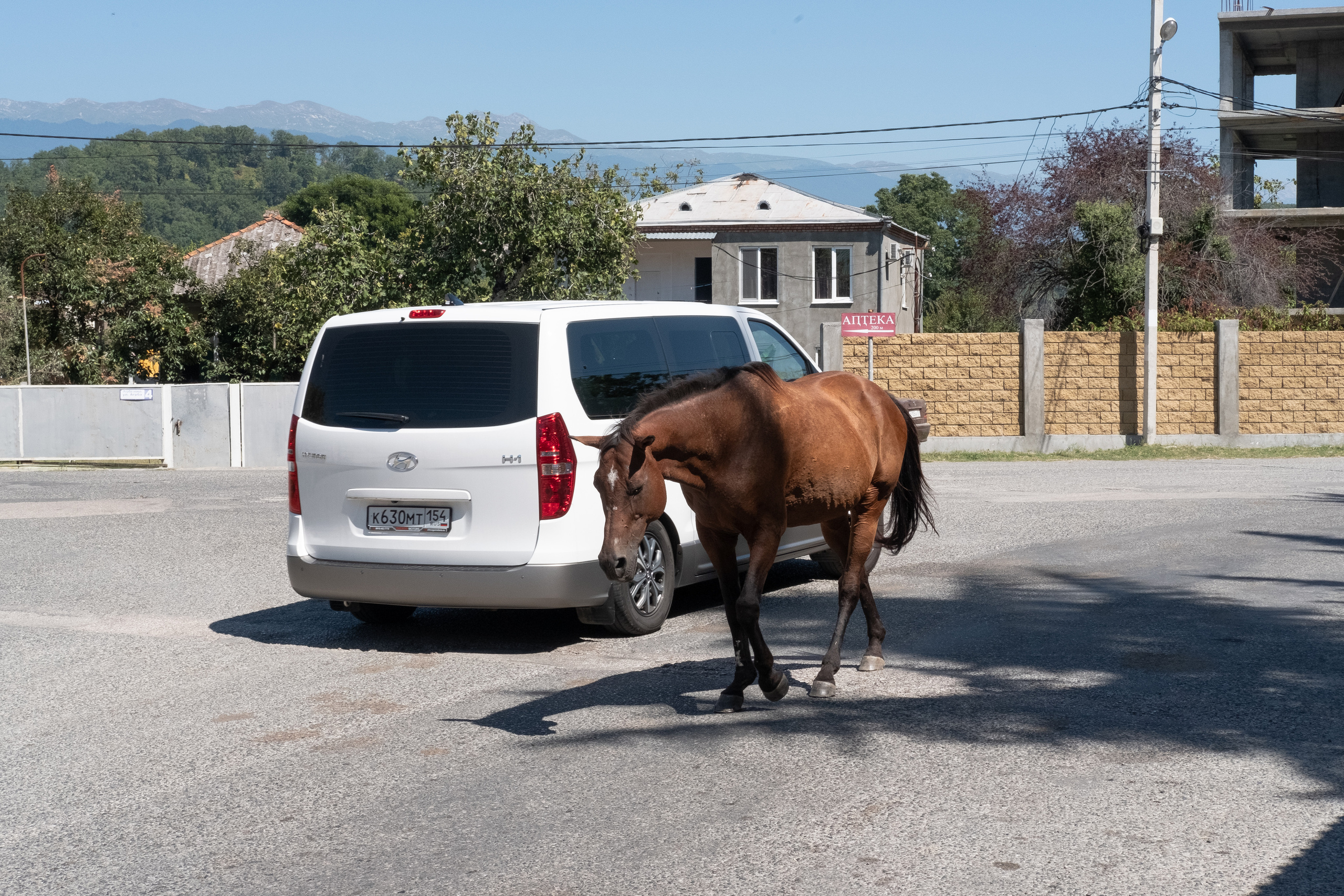Apswaа etudes. Maria Norden