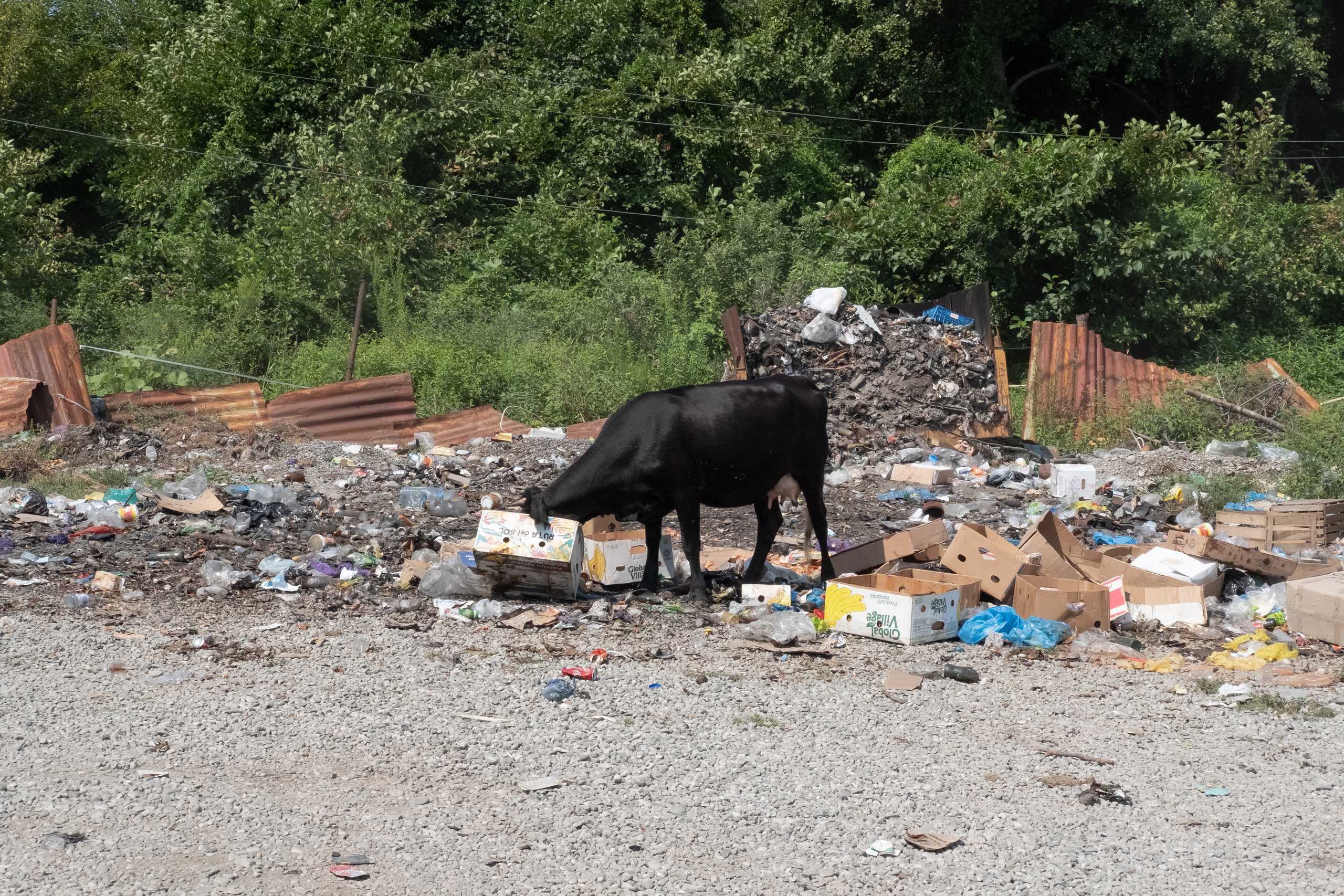 Apswaа etudes. Maria Norden