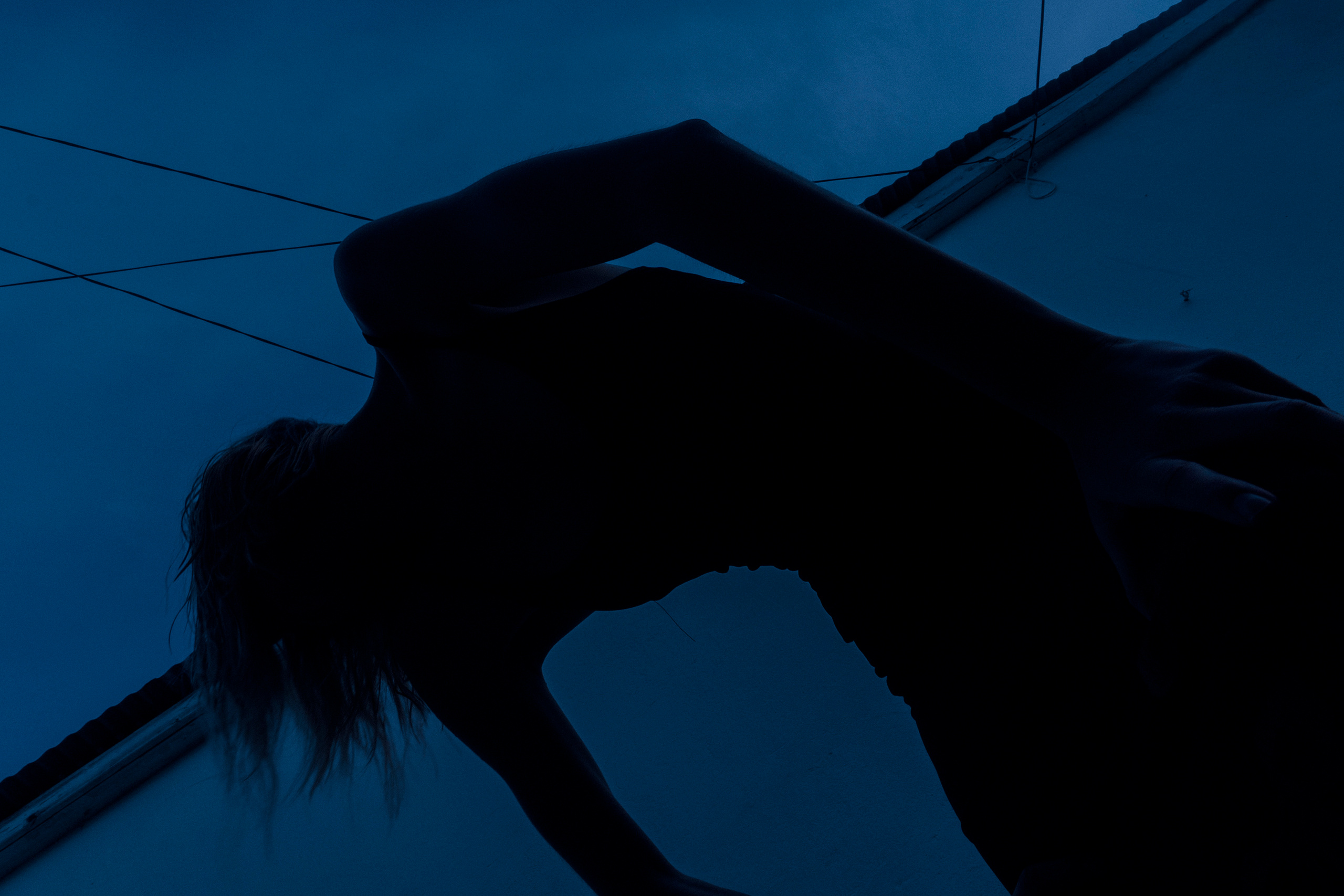 Freedom. Jorredi