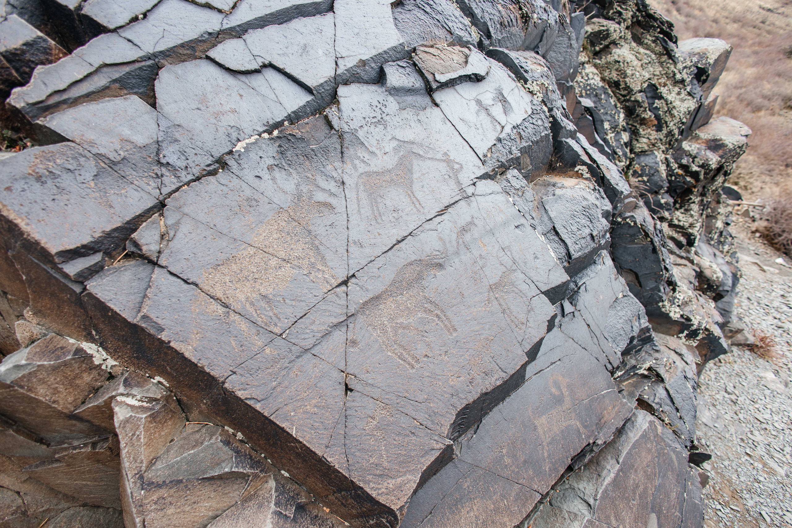 Экскурсия и тур на петроглифы Танбалы ЮНЕСКО