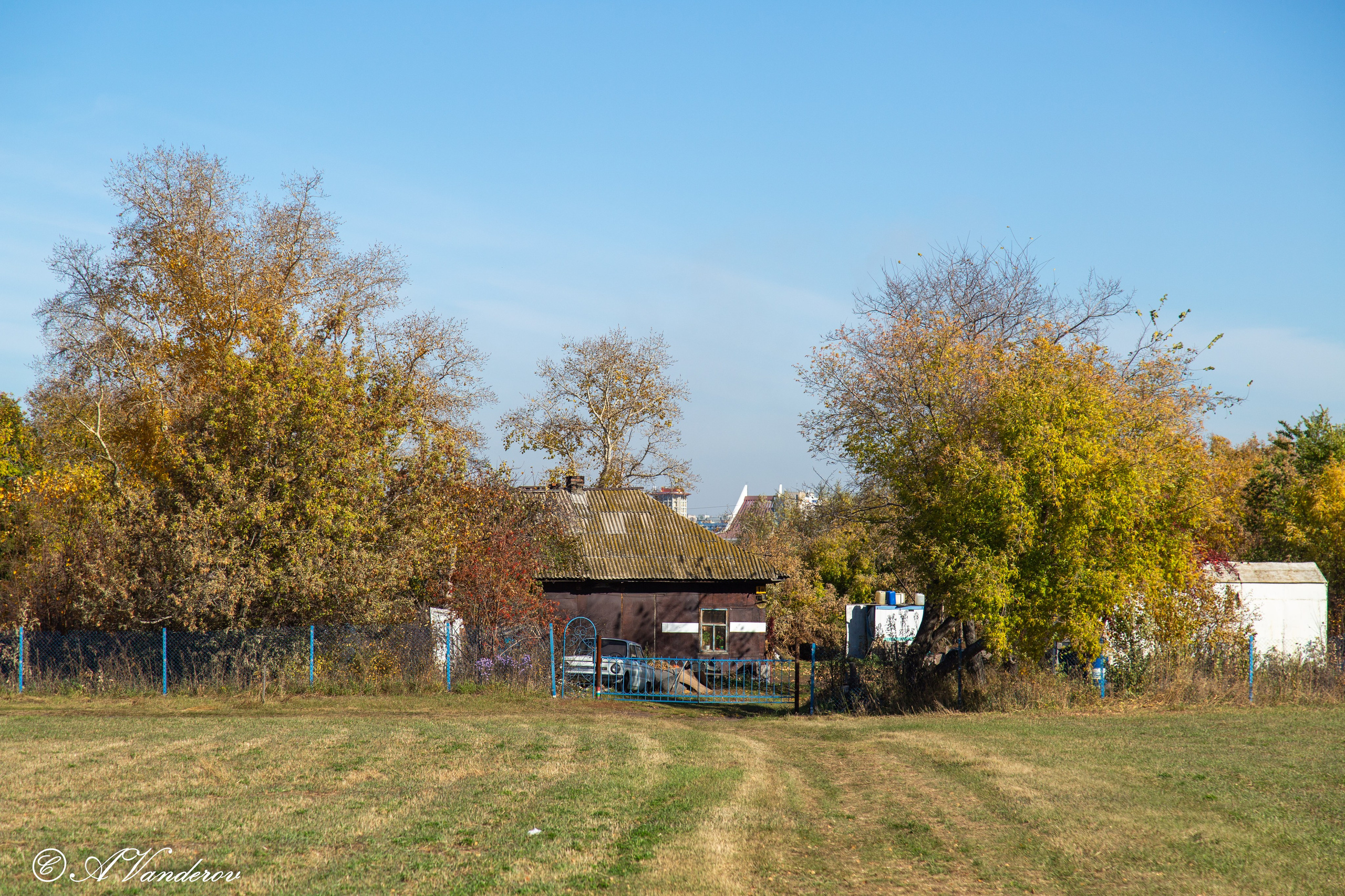 День ходьбы 2024. Фотограф Омск | Александр Вандеров