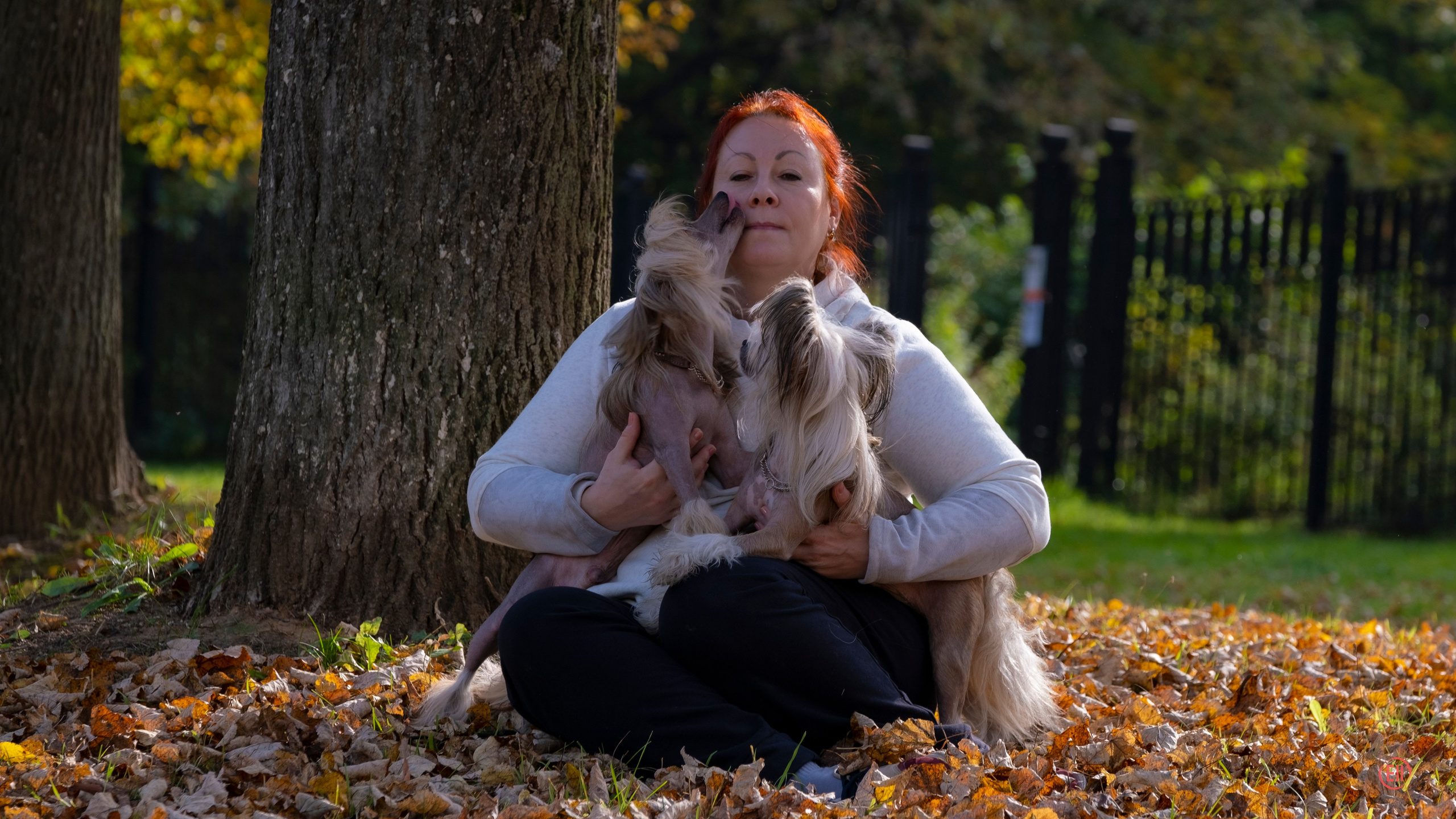 On a walk. Chinese Crested Dog Kennel Poale Ell