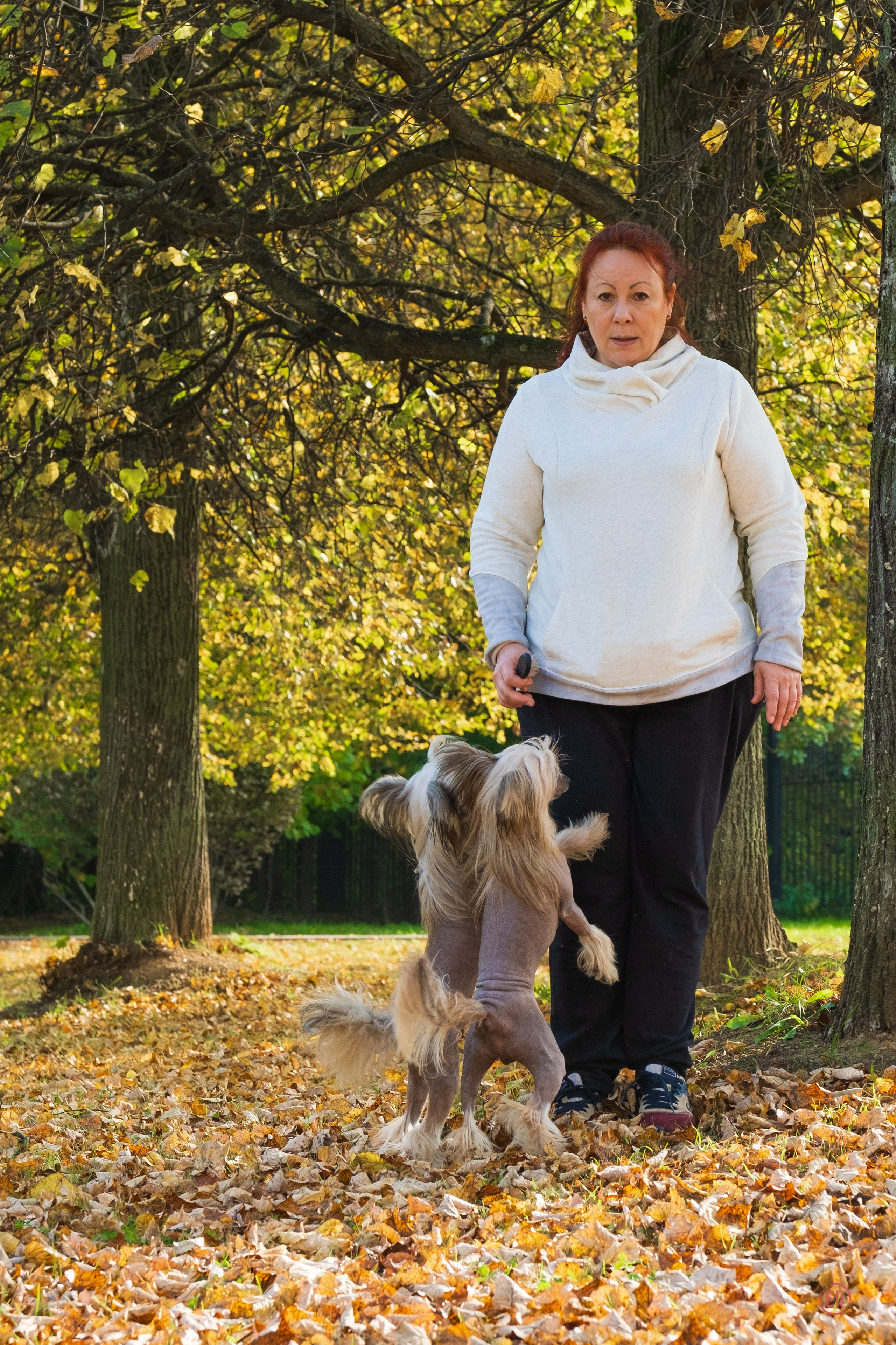 On a walk. Chinese Crested Dog Kennel Poale Ell