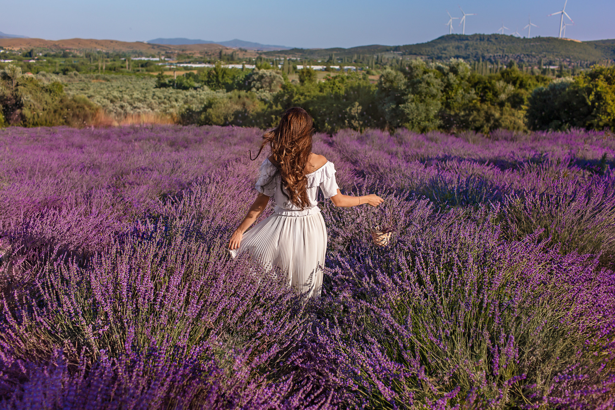 Лавандовое чудо. Professional family and children’s photographer in Izmir Irina Eron