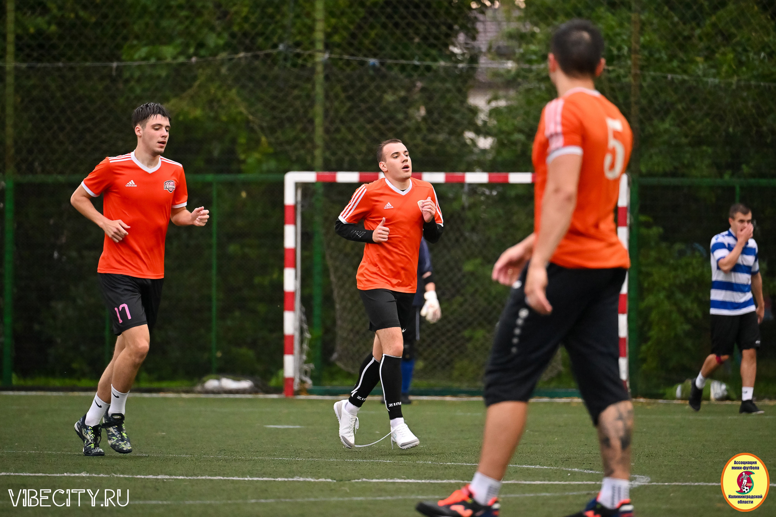 ИГРЫ МИНИ-ФУТБОЛЬНОЙ И КОРПОРАТИВНОЙ ЛИГИ. VIBECITY.RU Вайб Сити Ру Фоторепортажи Фотоотчеты Калининград