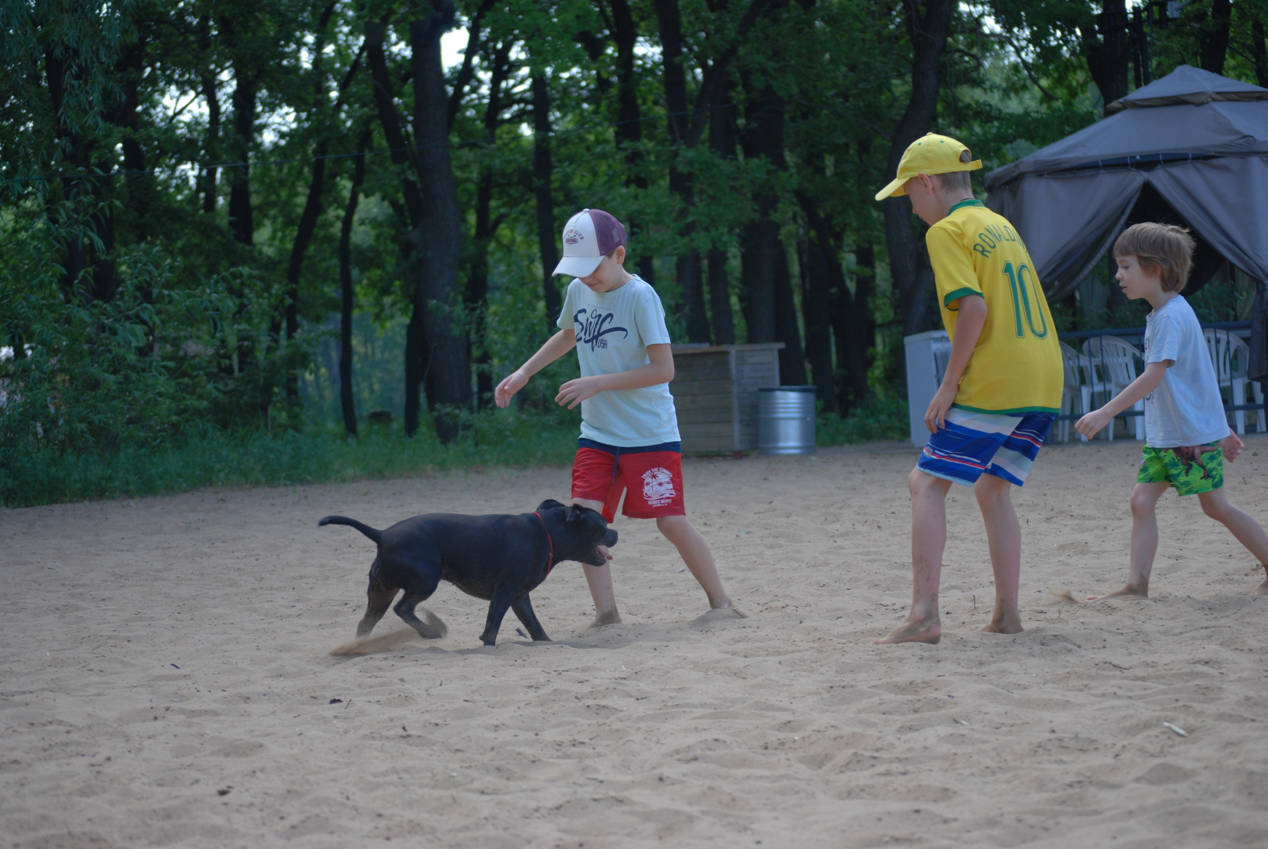 Первенство по сёрфингу, 1 июня. Фотокрыжовник. Снимаем, дружим, путешествуем