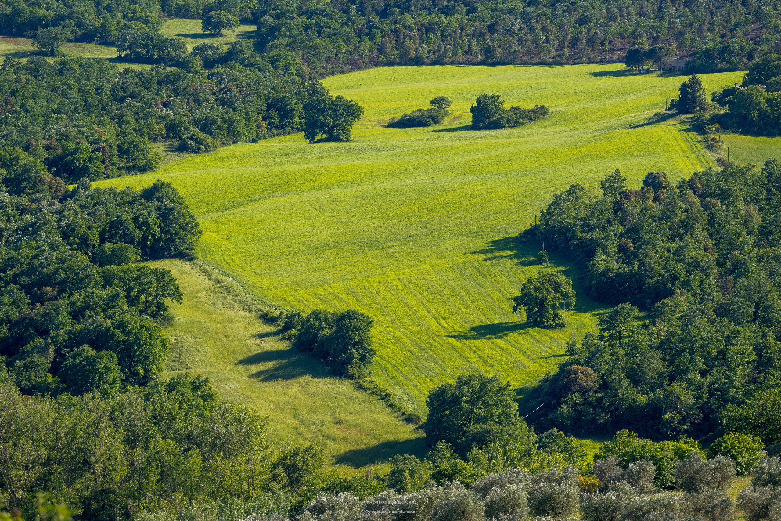 Кастельмуцио. Авторские стильные фотокартины