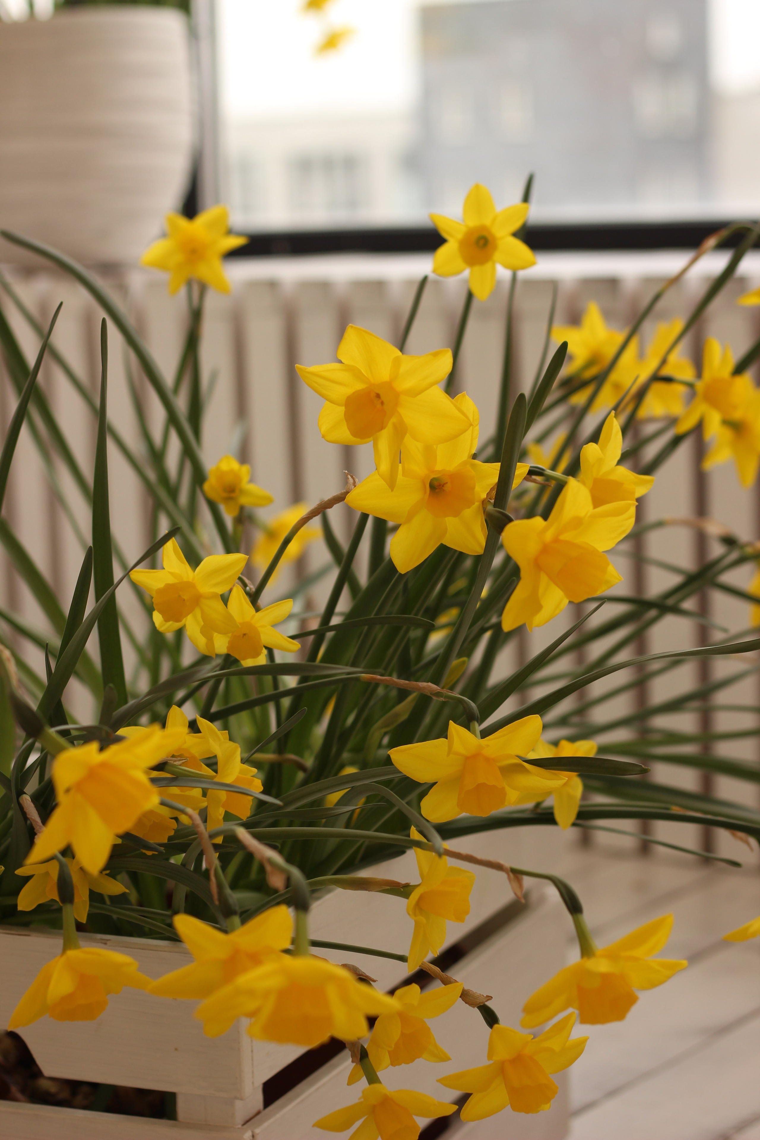 Конфиденциальная съемка в фотостудии «Moon». Фотограф Красноярск