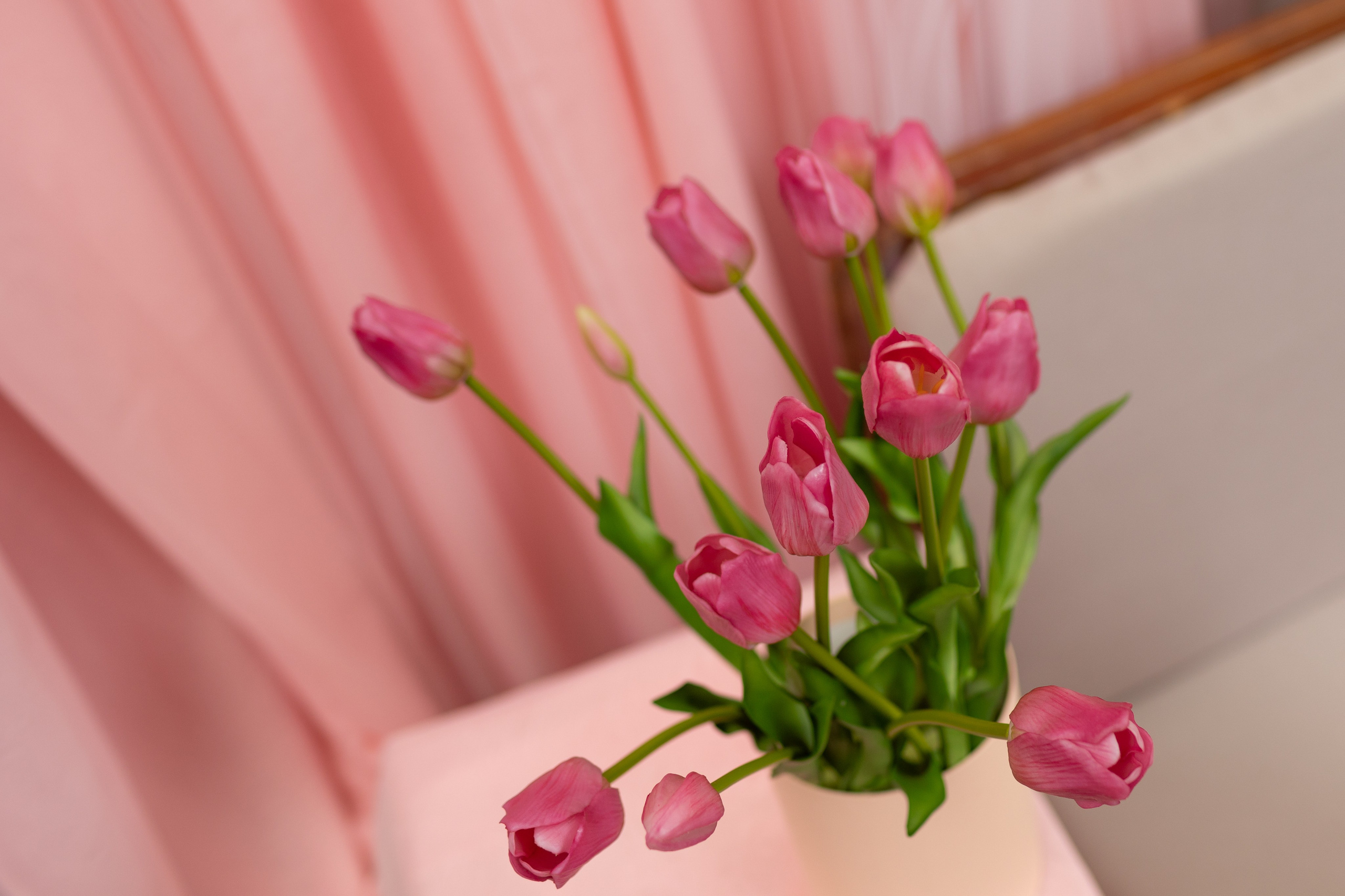 Фотосессии в фотозоне с тюльпанами. Портретный и семейный фотограф в Краснодаре Оксана Сараева