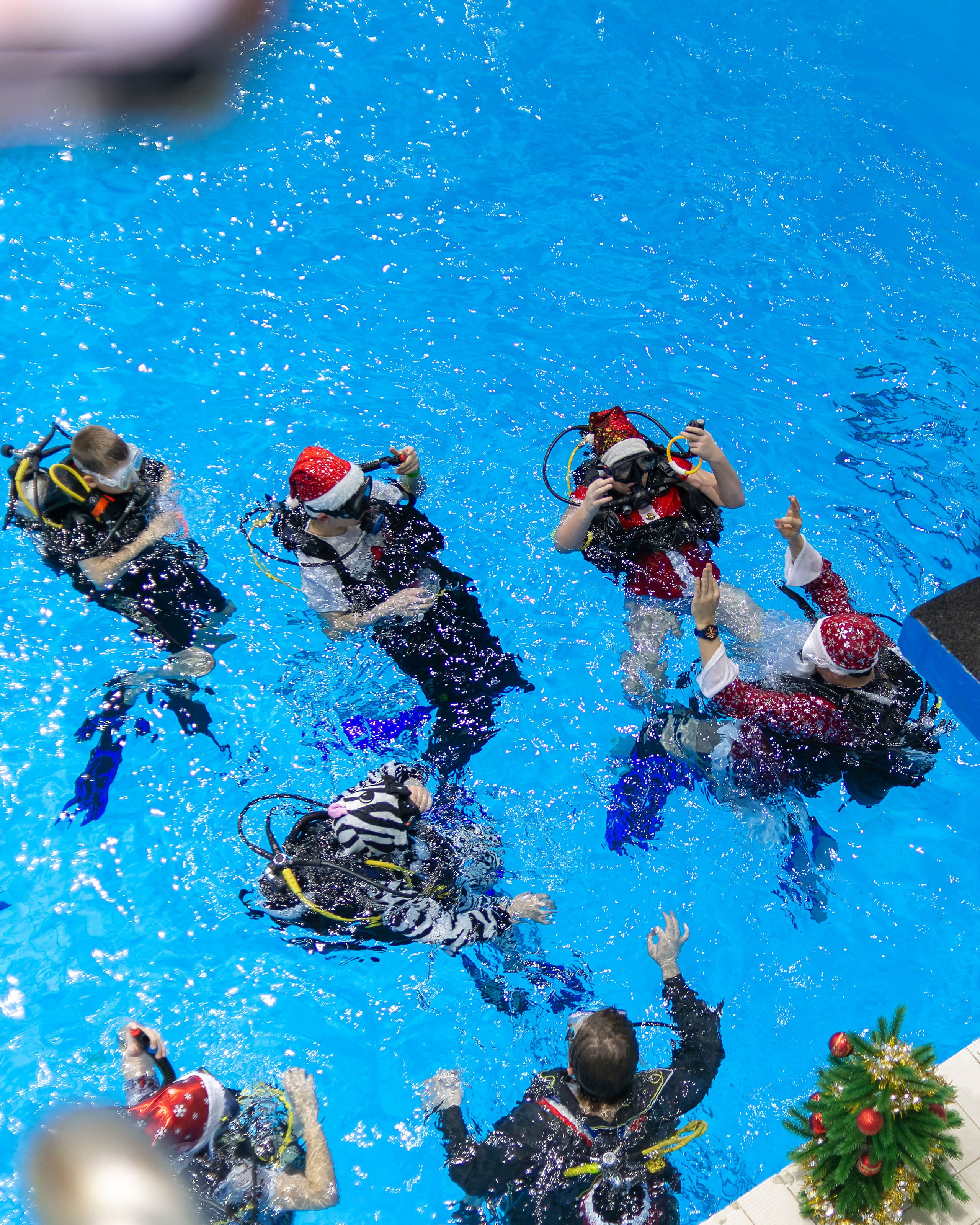 Новогоднее погружение с аквалангами, Дворец водного спорта, Минск