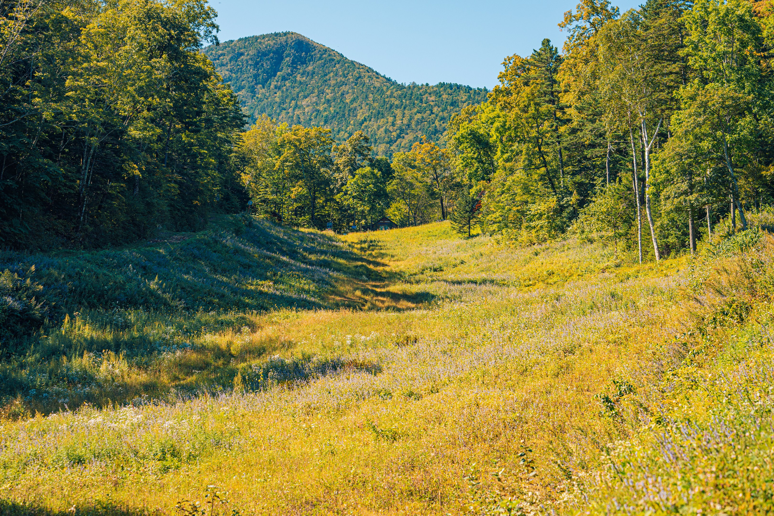 Гора Литовка (Фалаза). Иван Зайцев (IZIART) — создание культурного кода через фото и видео
