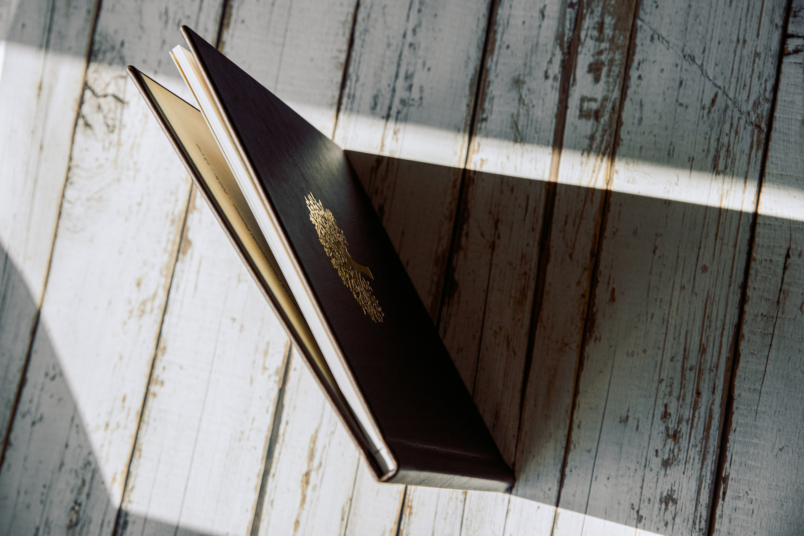 Родовая фотокнига. Семейный и детский фотограф в Москве Тихонова Ксения