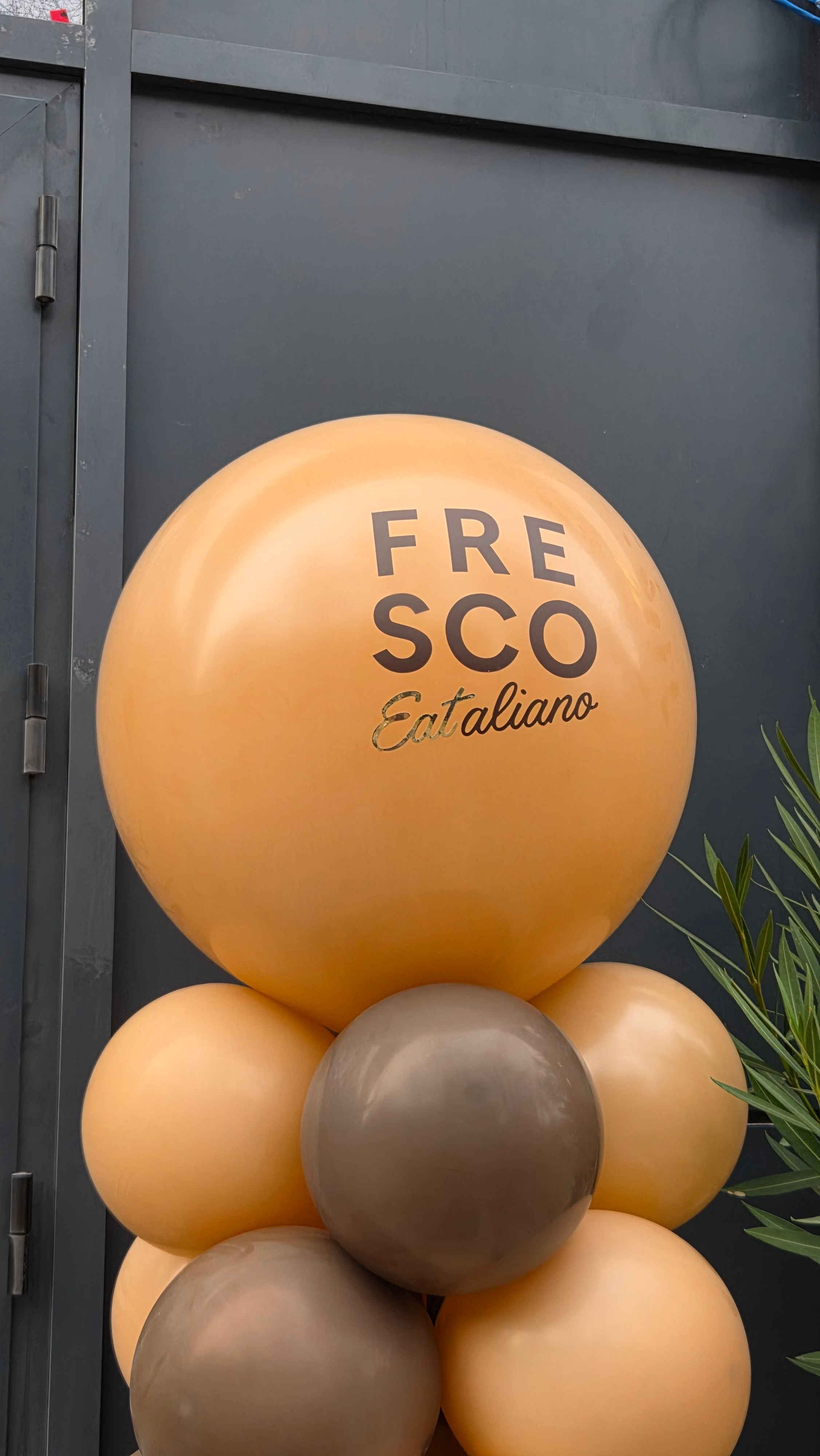 Baloni sa helijimom. Dekoracije balone. Dostava balone. Grad Novi Sad. Шары с гелием, фотозоны Нови Сад Белград. Balone i dekoracije od balona Novi Sad Beograd