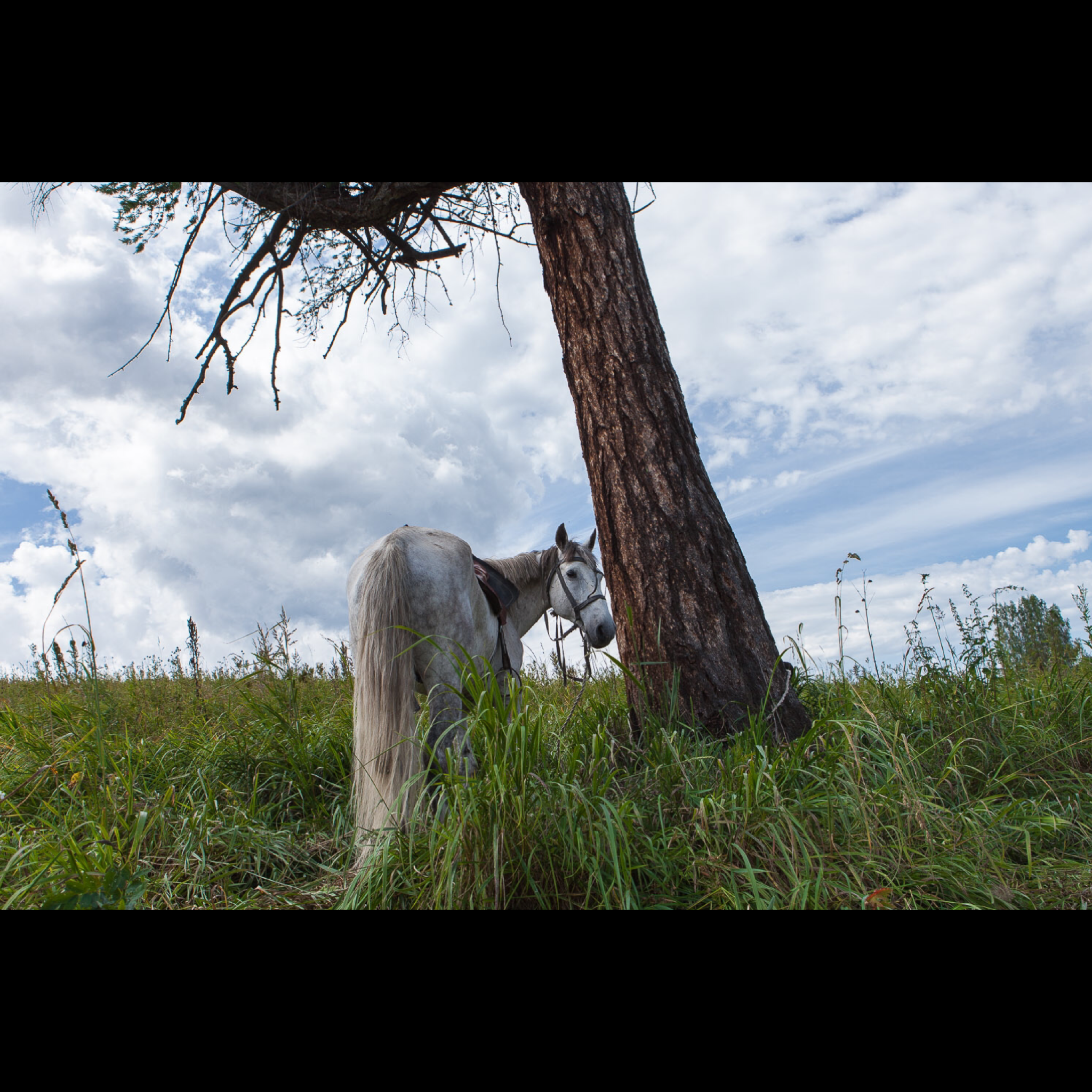 Фотограф и личные проекты. Ира Зимина — портретный фотограф и художник в Калиниграде и Москве