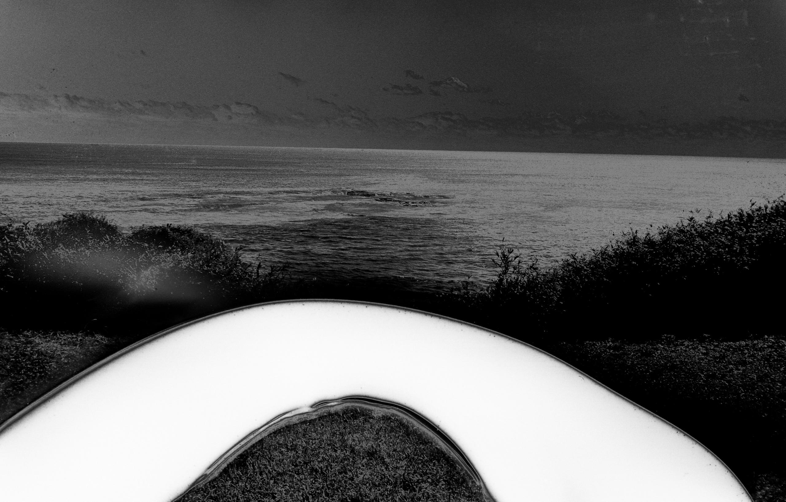 INTERVIEW WITH THE ARTIST: YOSHIKATSU FUJII. Самоорганизация Низина