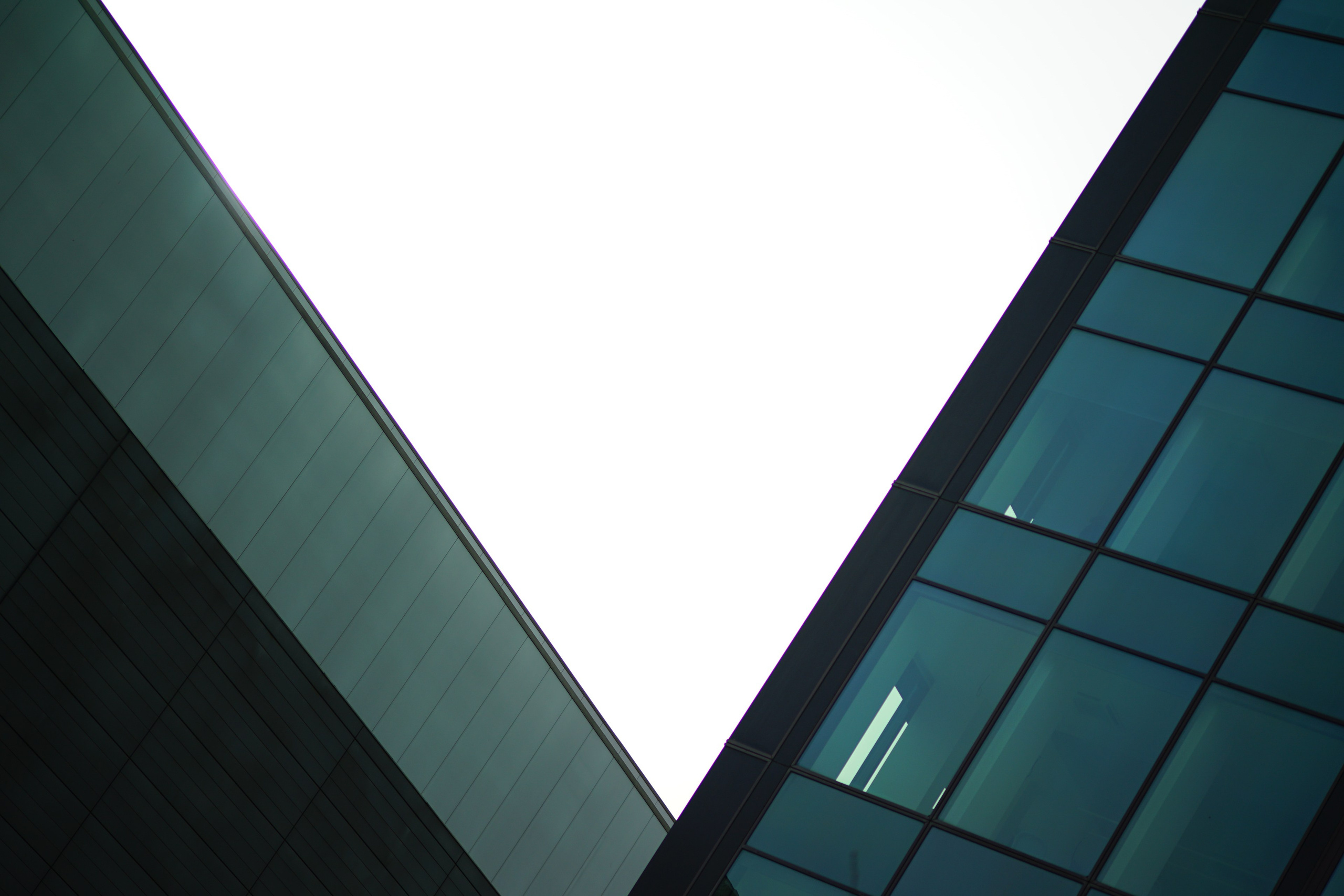 Canvas Aesthetics. Oleg Kozachok — Photographer with Protanopia | Portraits, Texture & Light