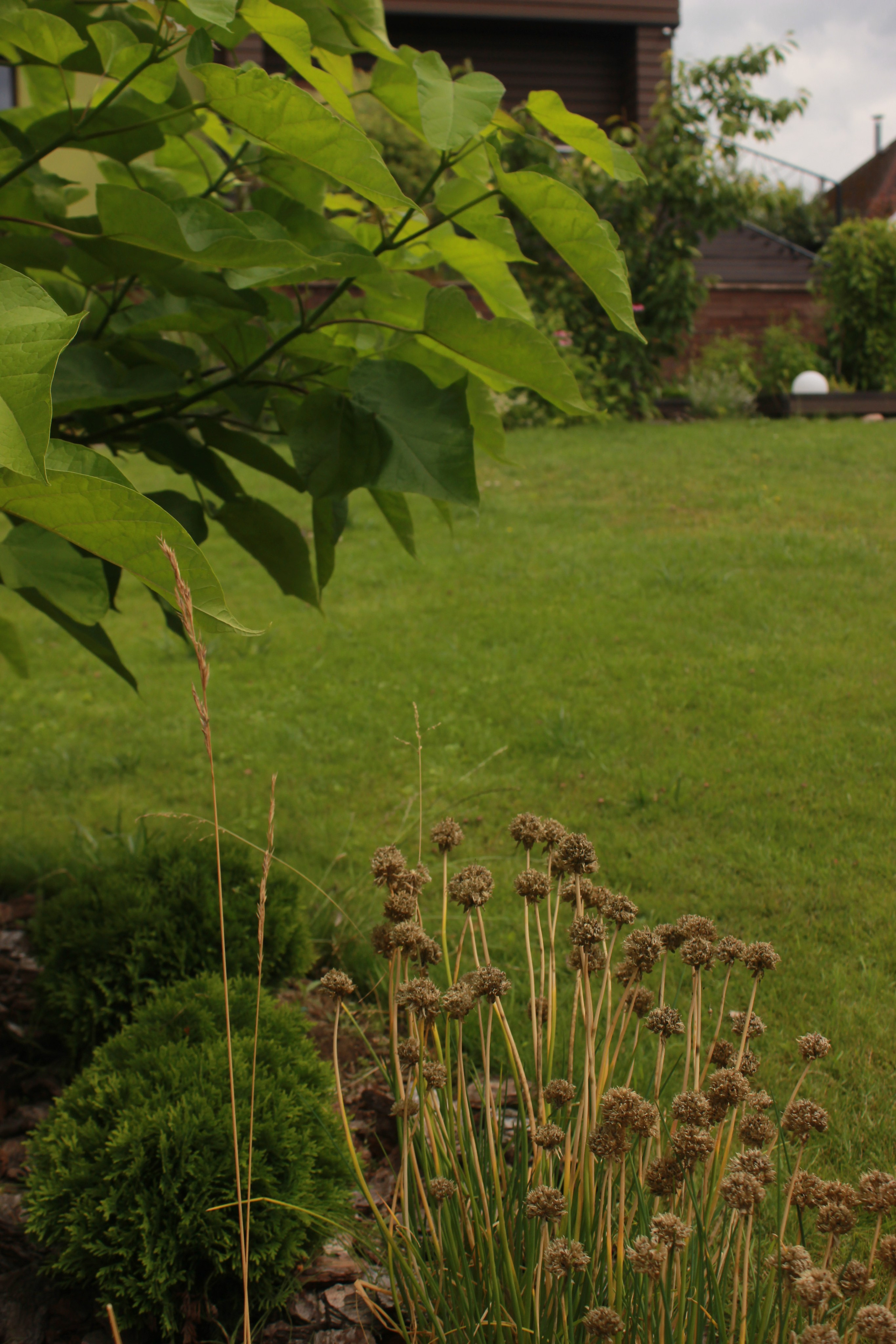GARDEN IN S. LA. Ландшафтный дизайн в Минске и Гродно