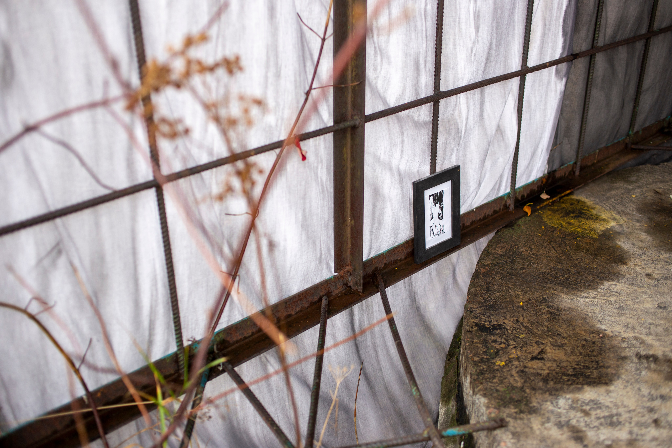 Сумерки речи. Михаил Курганов