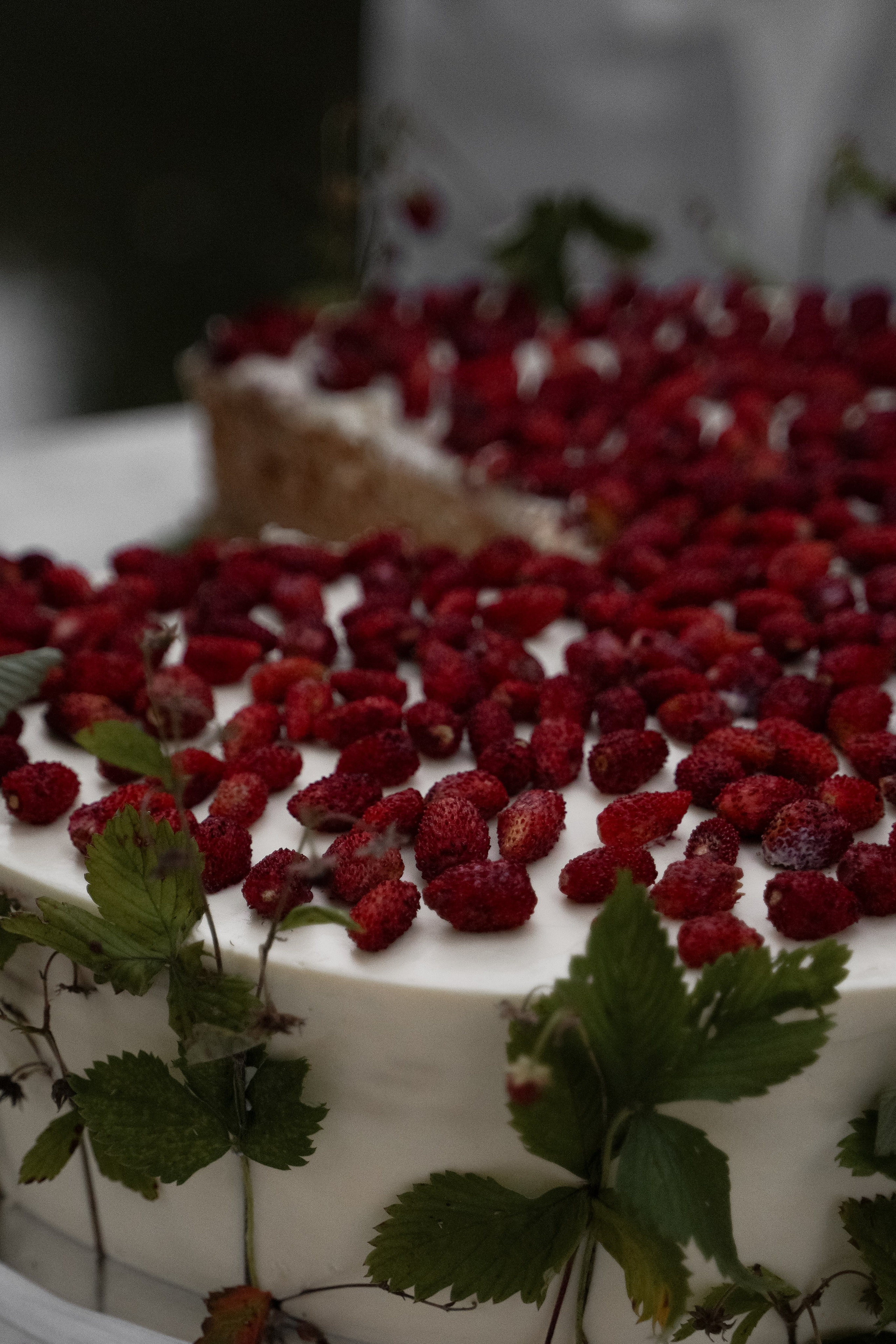 Анна и Андрей. Свадебный фотограф Марина Попова
