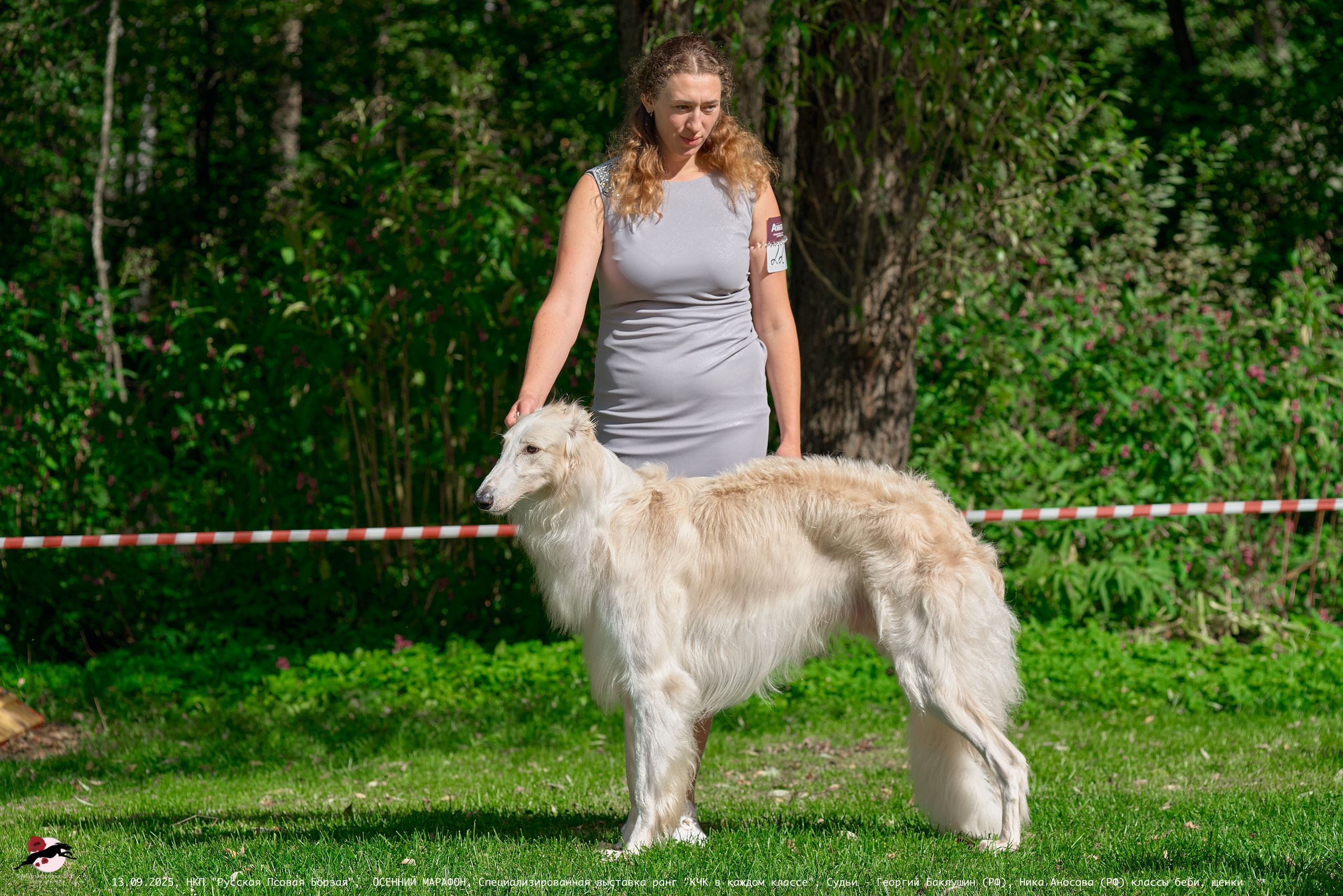 ОСЕННИЙ МАРАФОН | Специализированная выставка породы Русская Псовая Борзая ранг "КЧК в каждом классе"