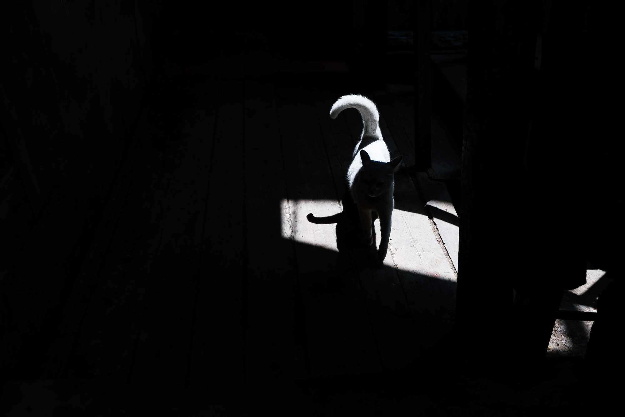 Фотограф в Тбилиси | Отличные услуги фотосъемки для свадеб и событий. Свадебный фотограф в Москве | Антон Матвеев