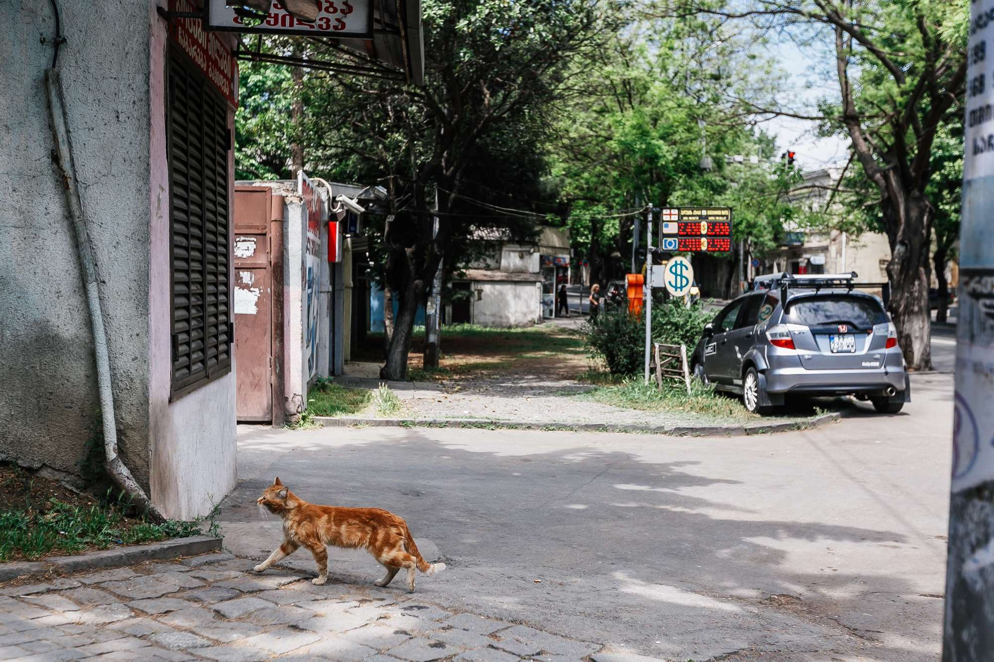 Фотограф в Тбилиси | Отличные услуги фотосъемки для свадеб и событий. Свадебный фотограф в Москве | Антон Матвеев
