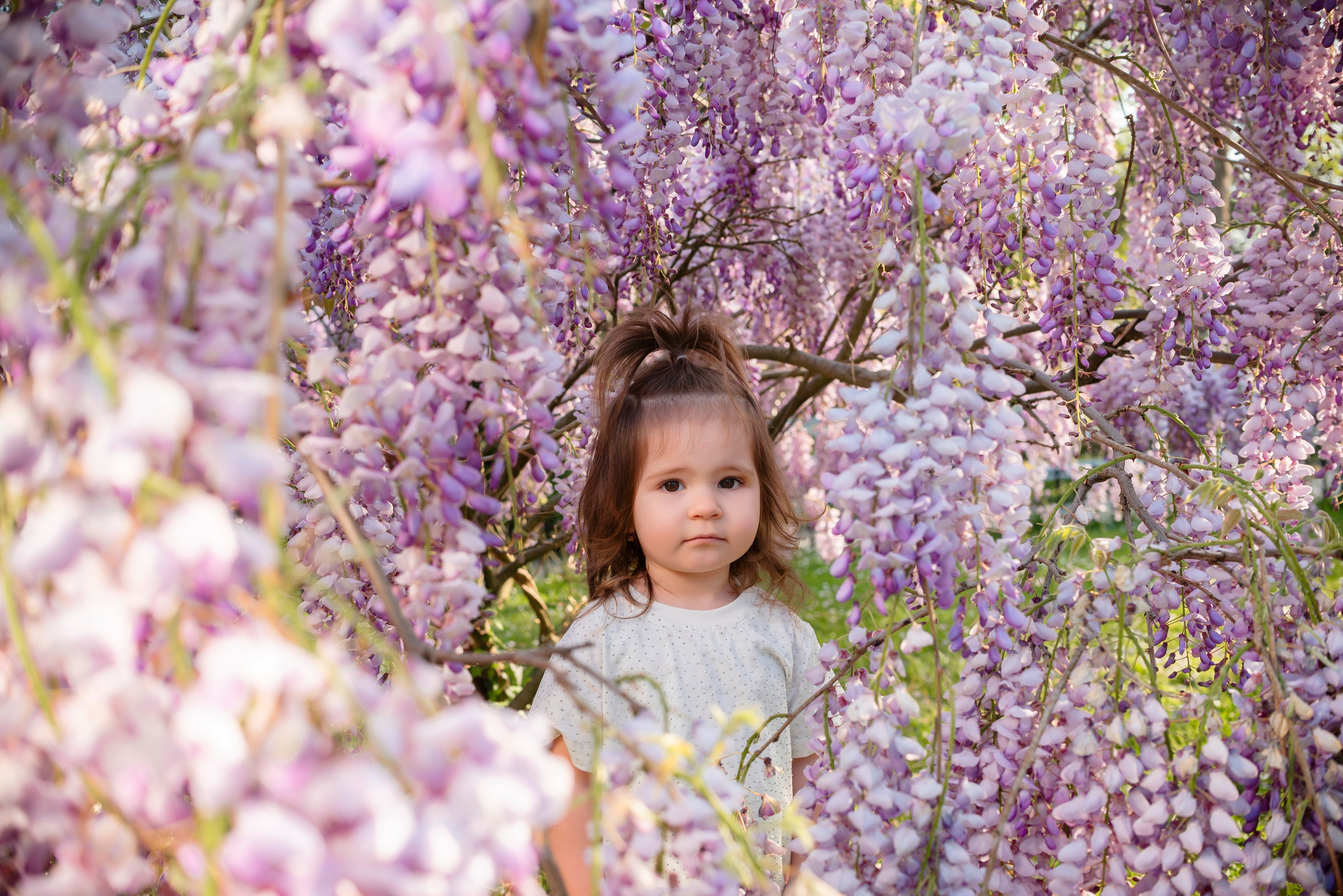 девочки,глициния, фотошоп, искусственный интелект, Дендрарий, Сочи, локация